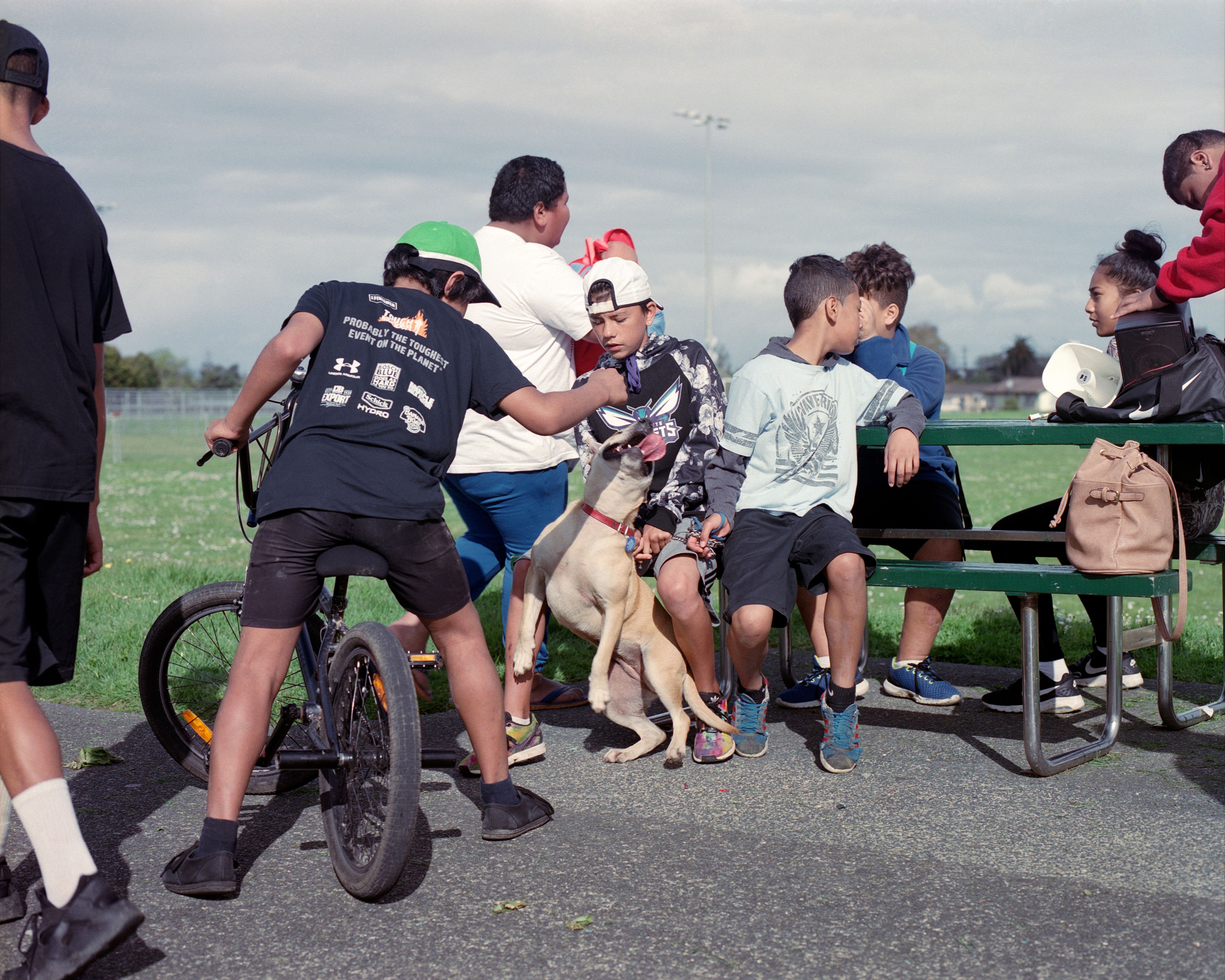 The day that Holdan’s dog came to the park, 2016