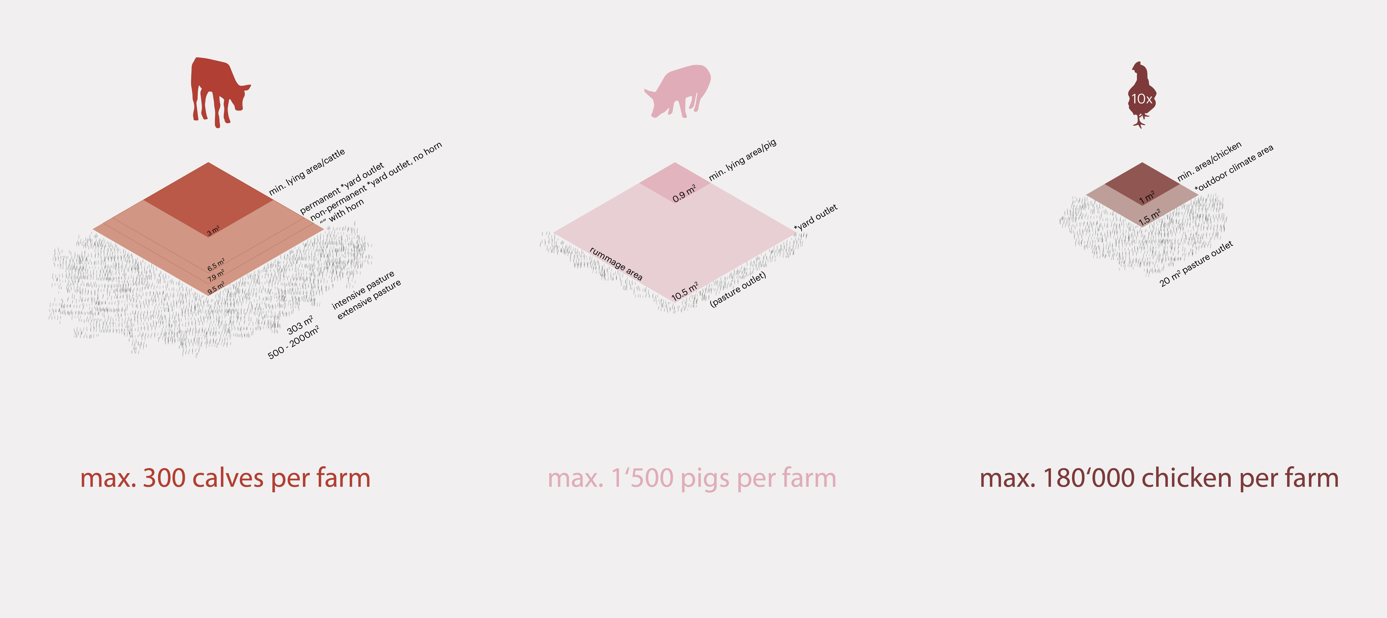 Group husbandry minimal space requirments and maximum livestock numbers of chicken per farm. Source: Schweizer Tierschutzverordnung, 2008.