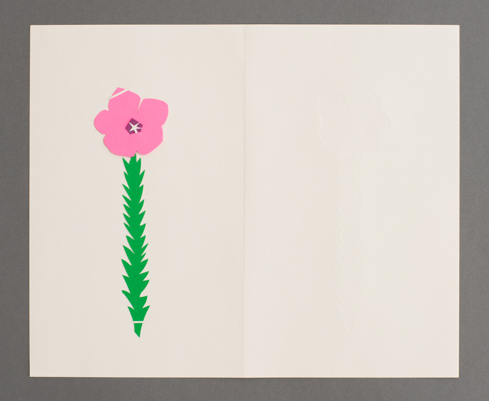 Hairy Pink Flax, آتان زهري, פשתה שעירה