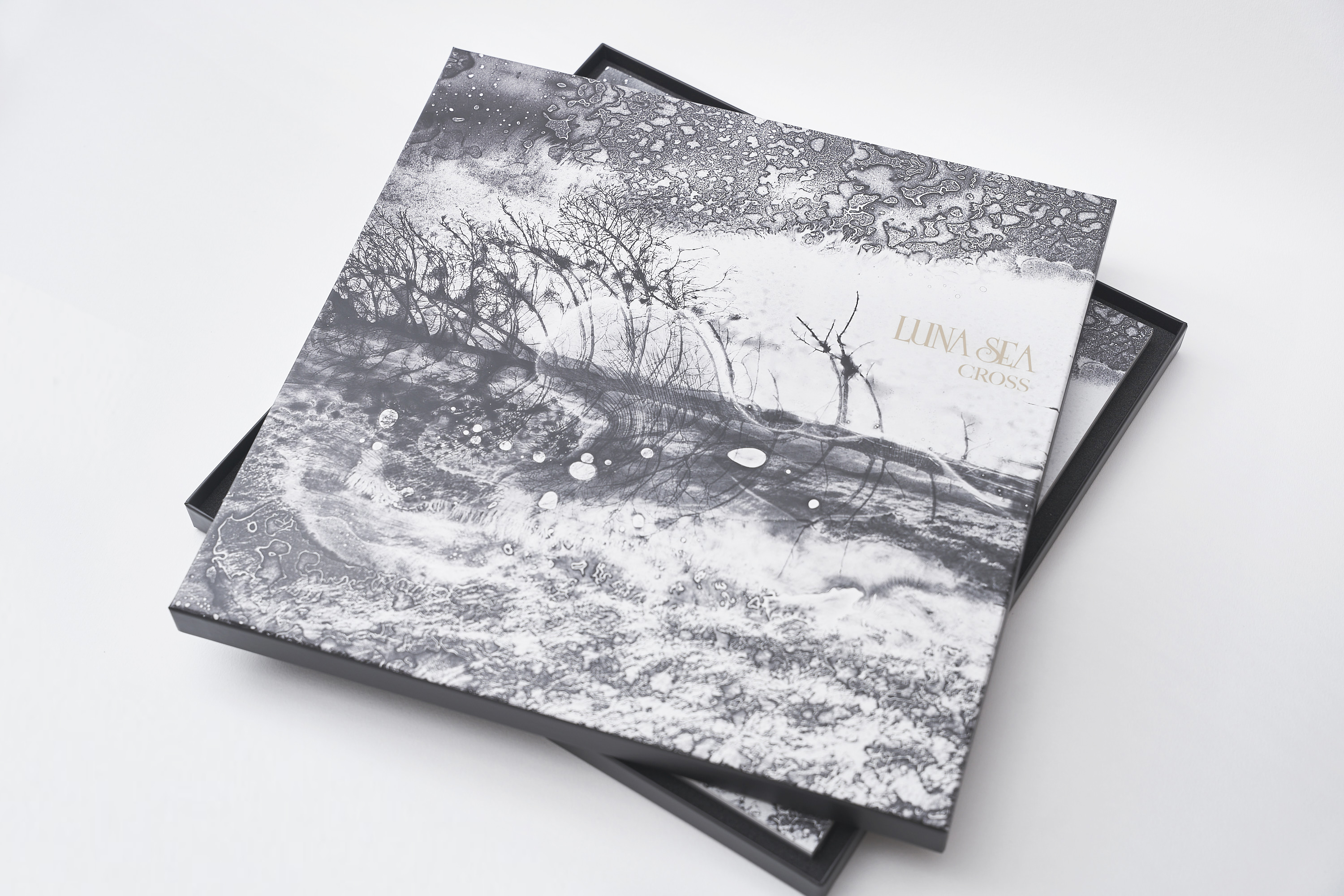 LUNA SEA アルバム シングル 18枚 セット LUNA SEA / 全オリジナルアルバム＋α 18枚