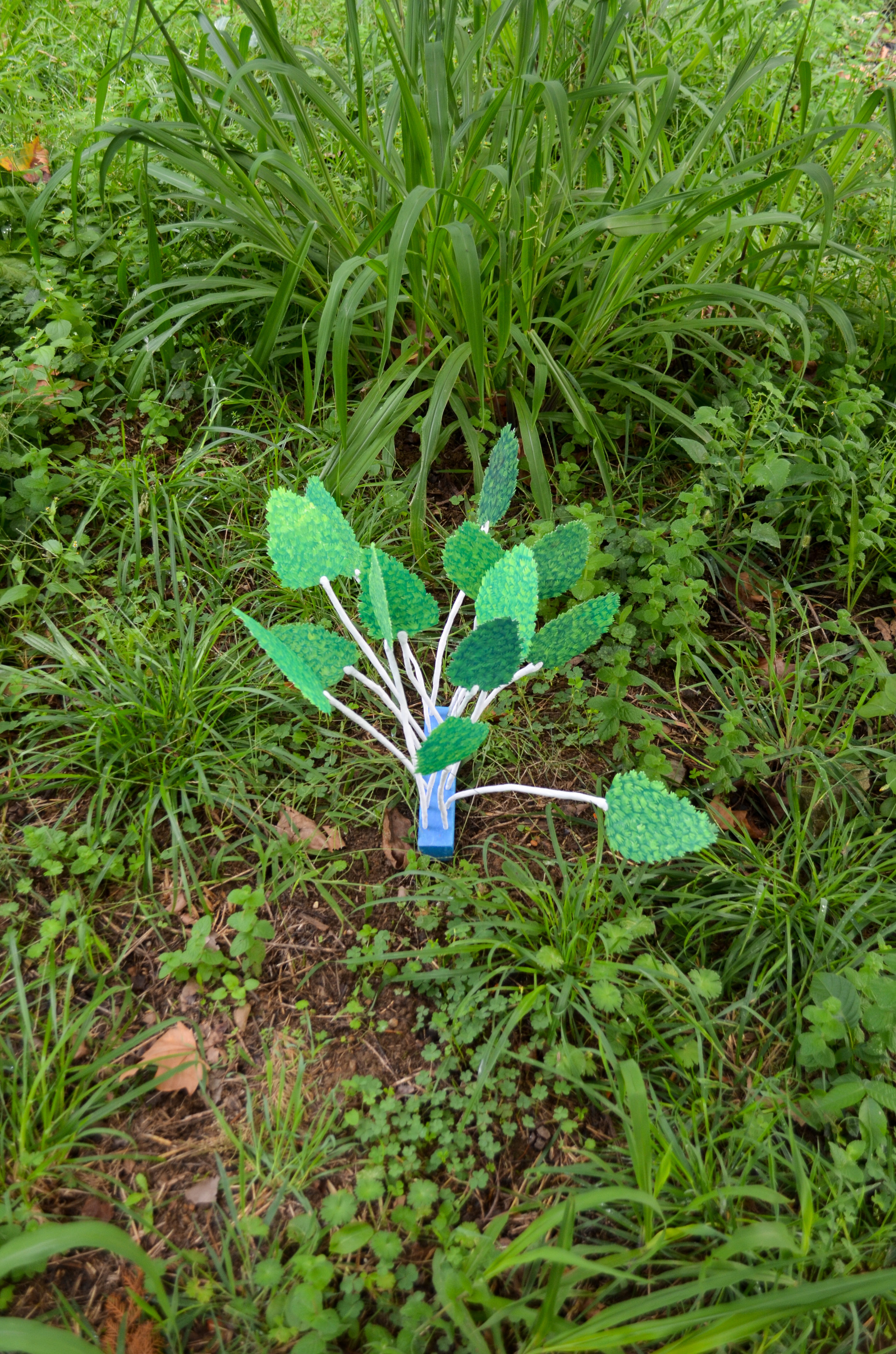 Plantas; gouache and pencil on paper, air-dry clay, wood