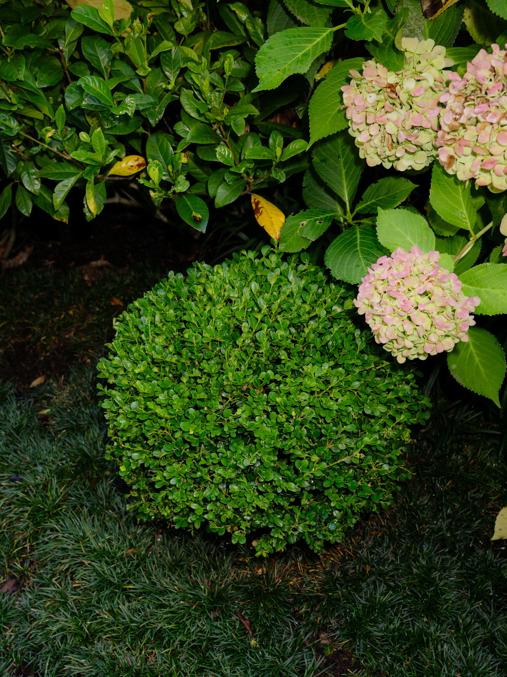 Humphrey's Landscaping