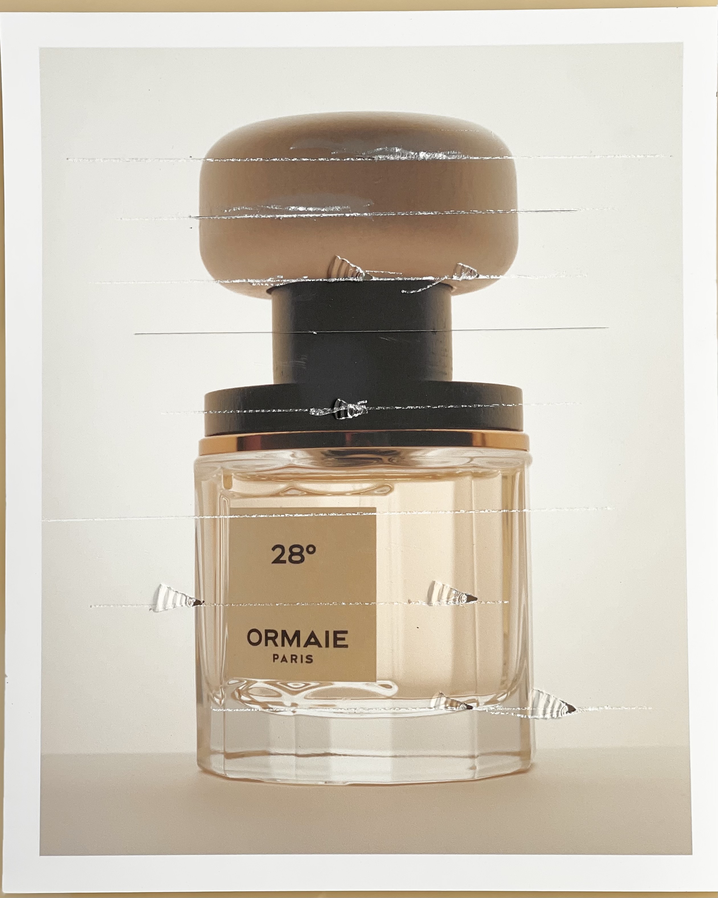 KMA photographer Vincent Gapaillard photographs Ormaie Paris fragrance for Carton Magazine