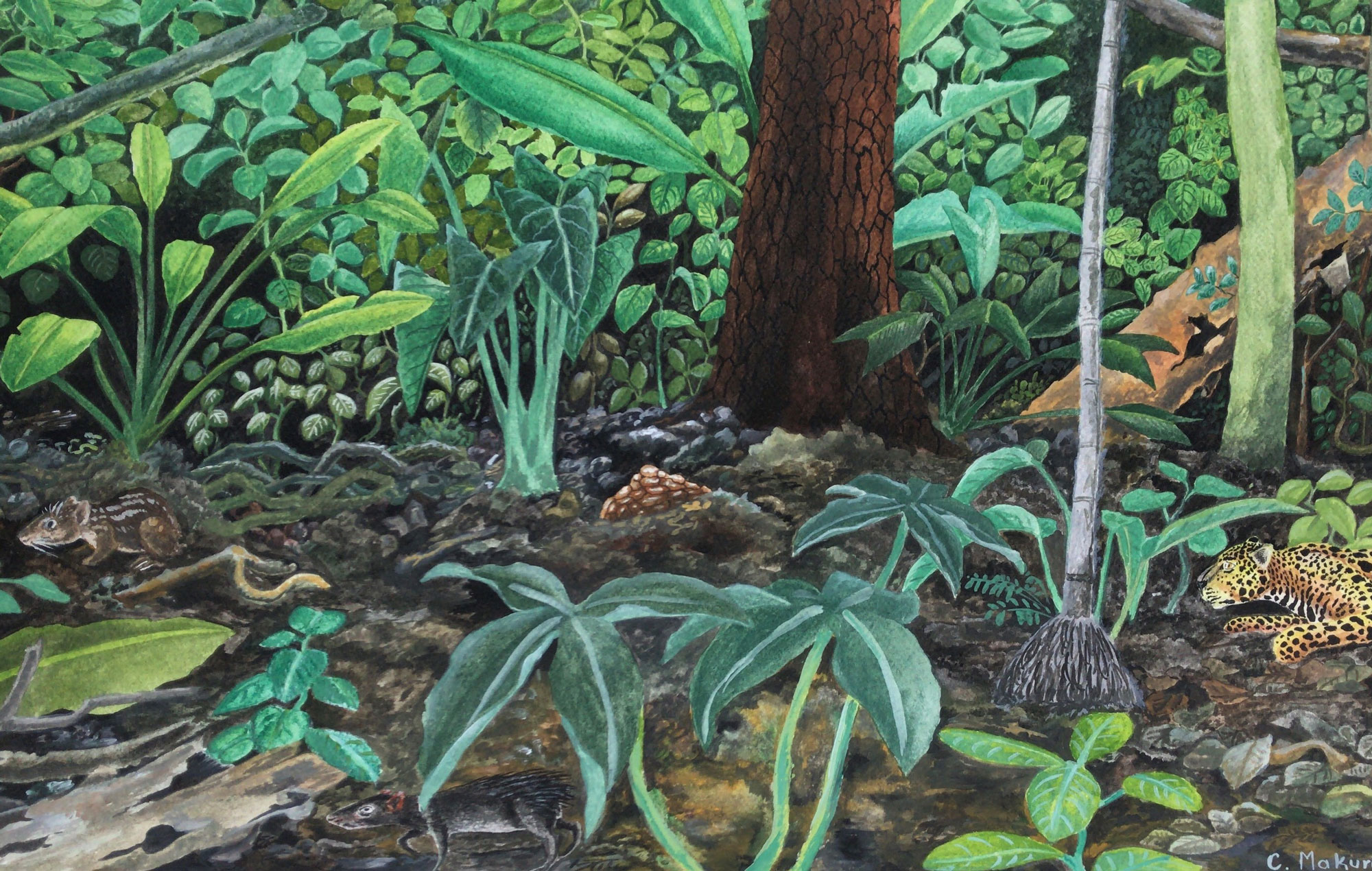 Ecología (Detalle), Acuarela sobre papel, 100 x 52 cms, 2020