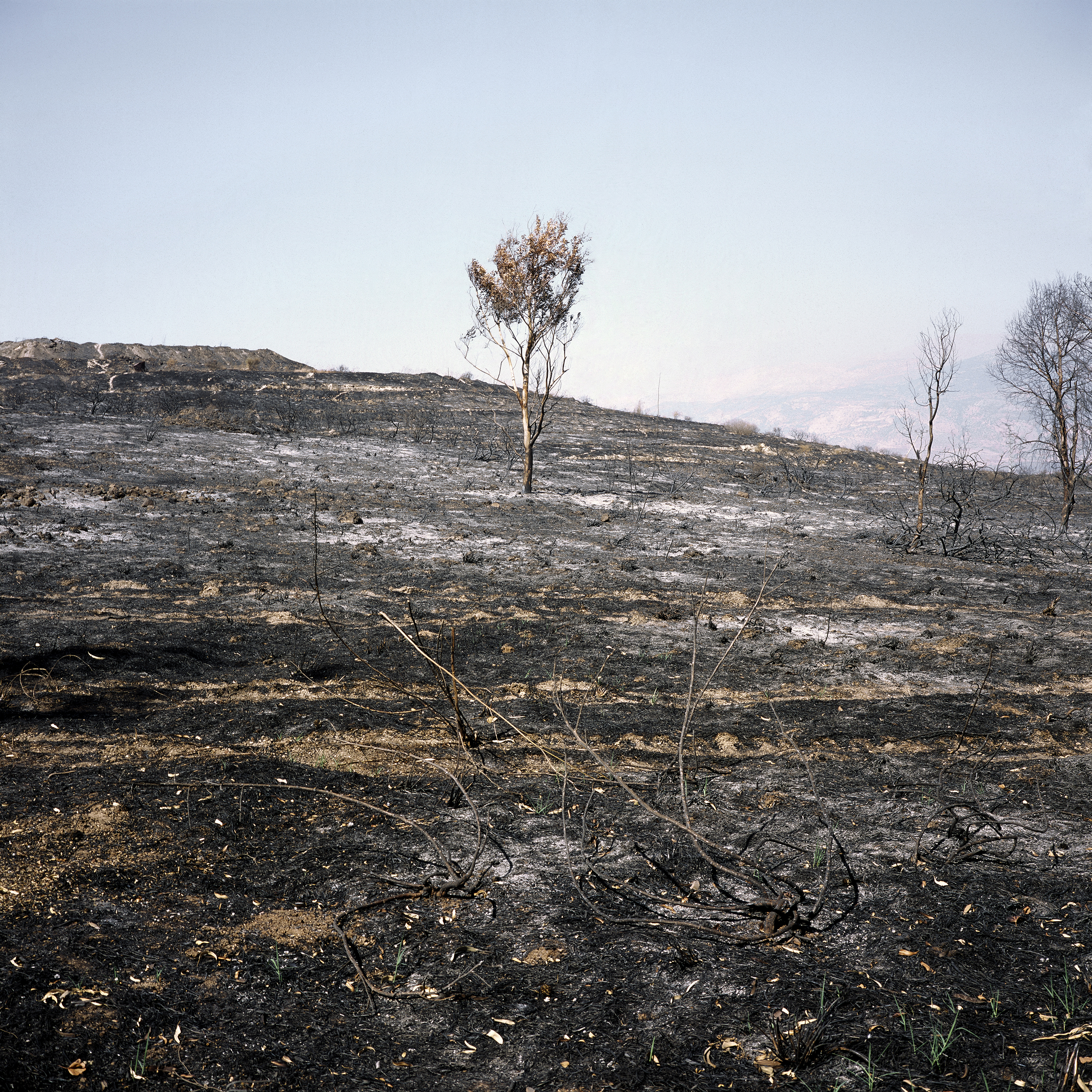 August 06', 2006, Lambda print, 70x70 cm