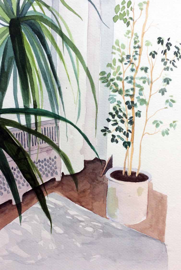 Plants in Charlottenburg, postcard A6