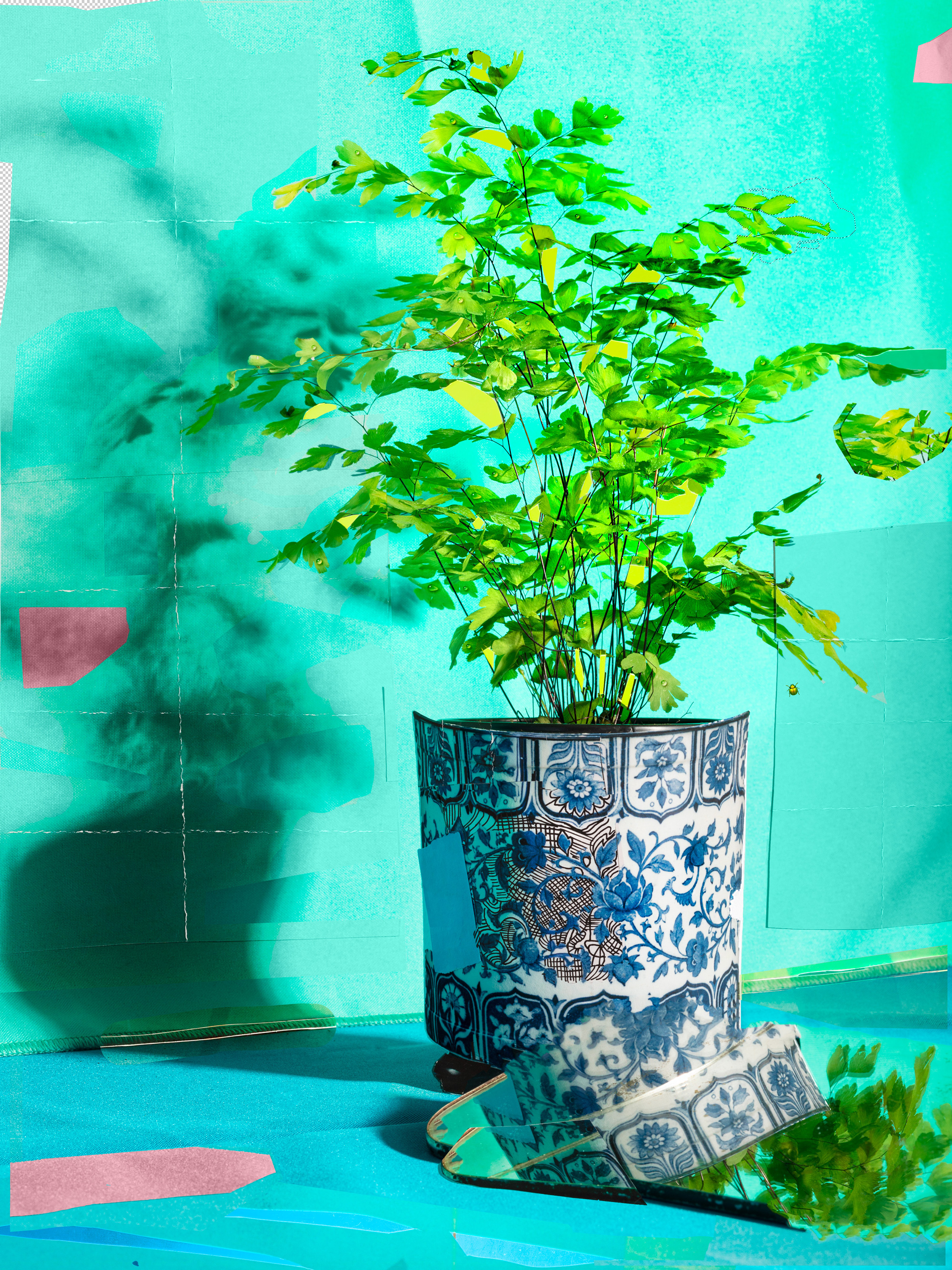 Plumy, beading of warm dew, 2021, archival pigment print, 45”x34” and 22”x17”