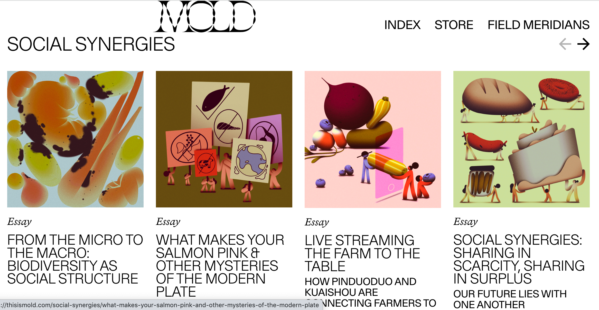 MOLD Magazine - Essay series