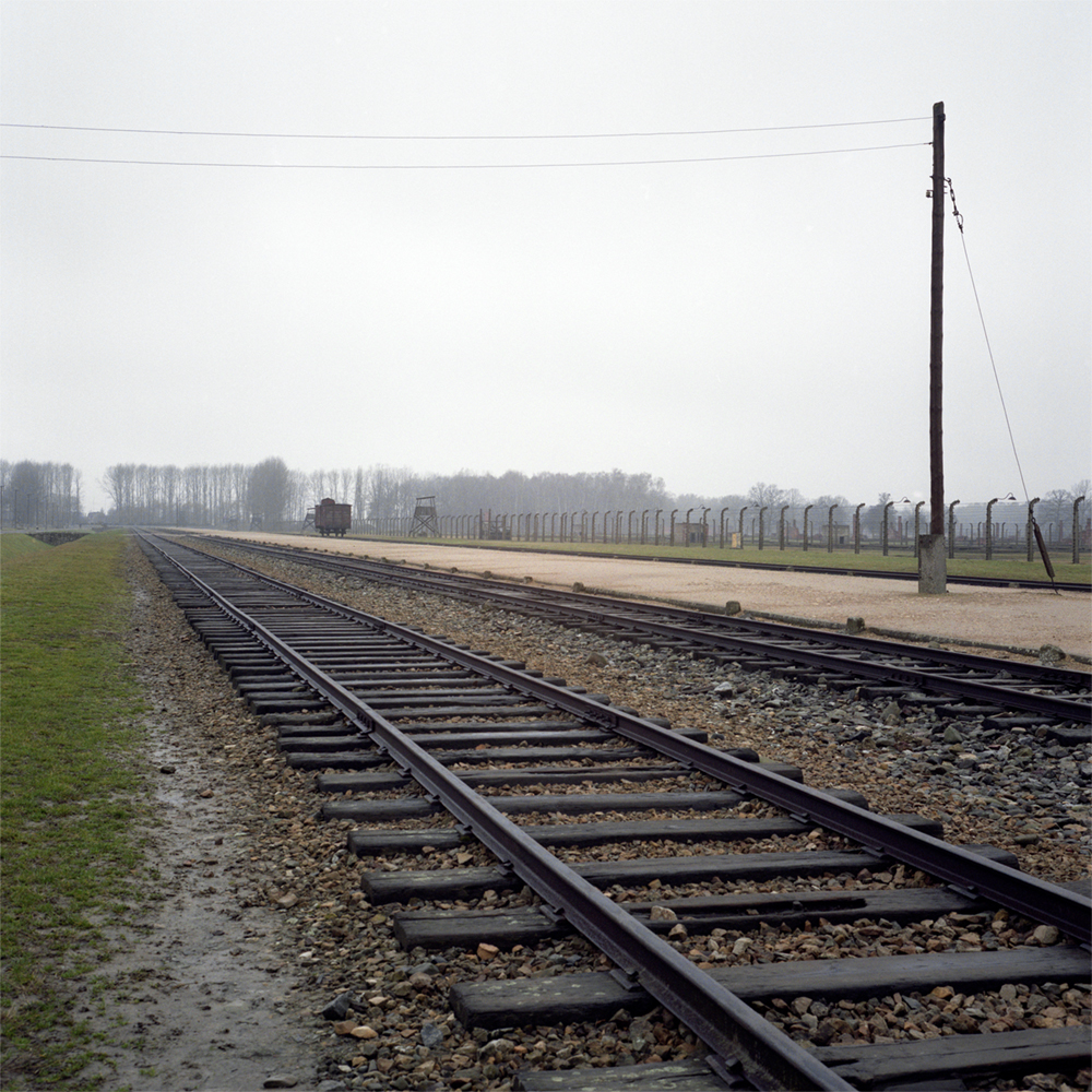 Railway Tracks (Auschwitz-Birkenau Memorial and Museum, Poland) (2016)