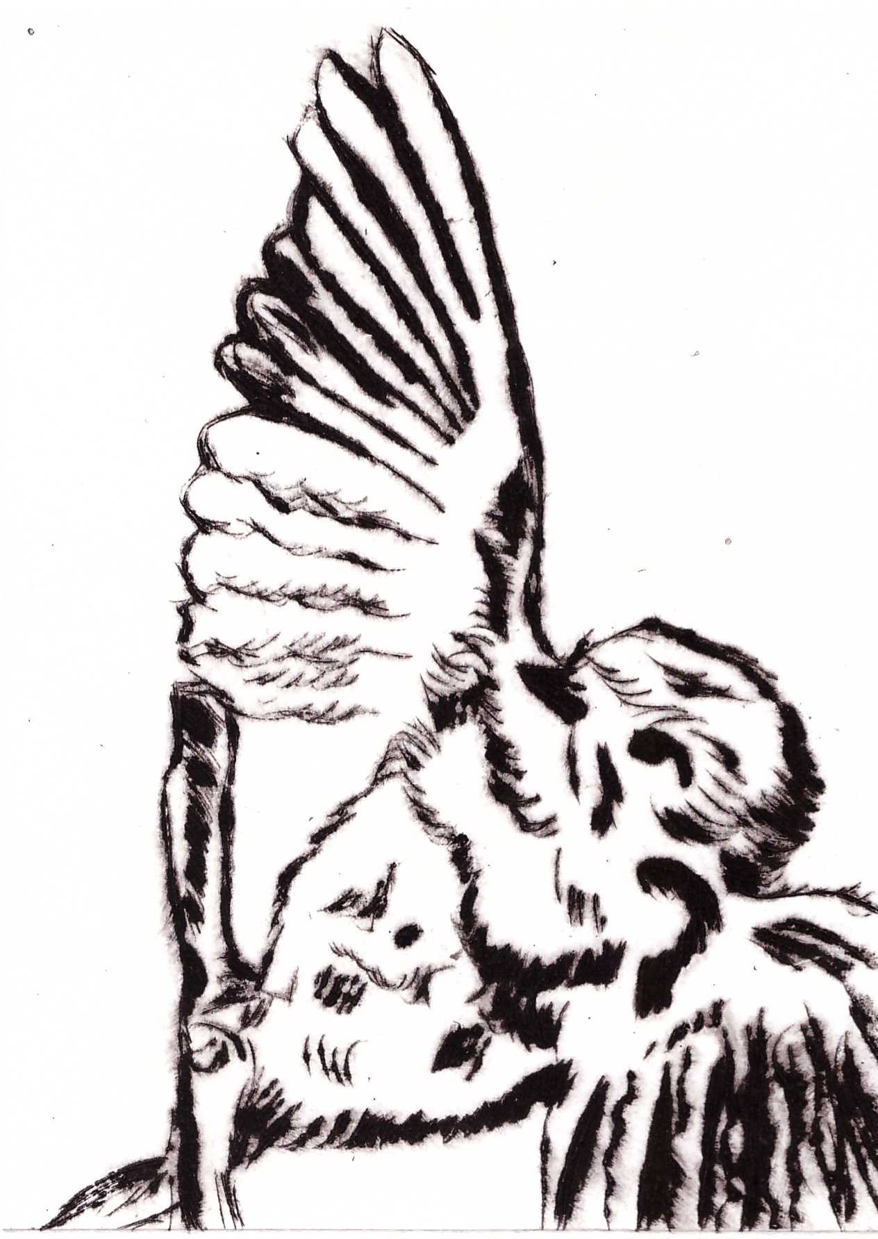 Batifolage,gravure pointe sèche,15x11cm