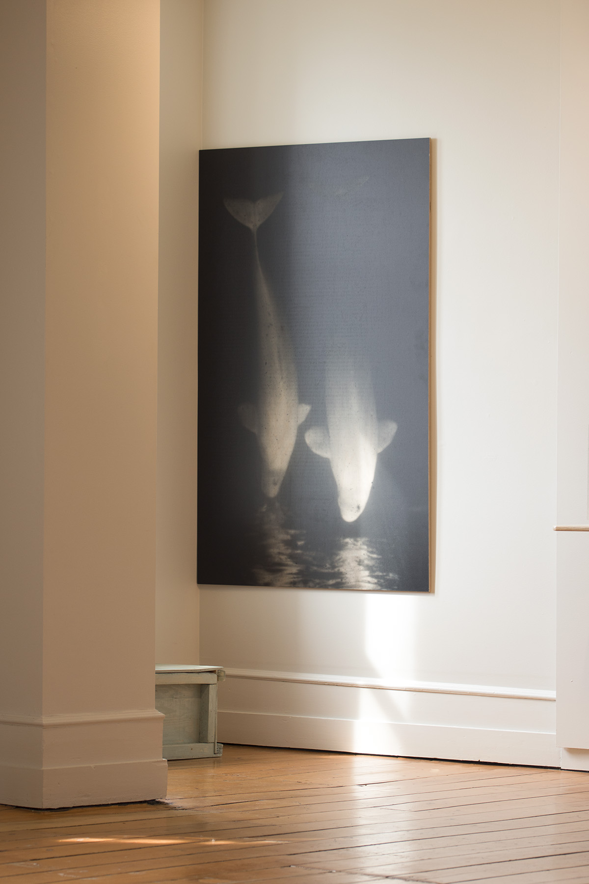 Photo : Caroline Bolieu, 2025. Courtoisie du Centre d'art de Kamouraska