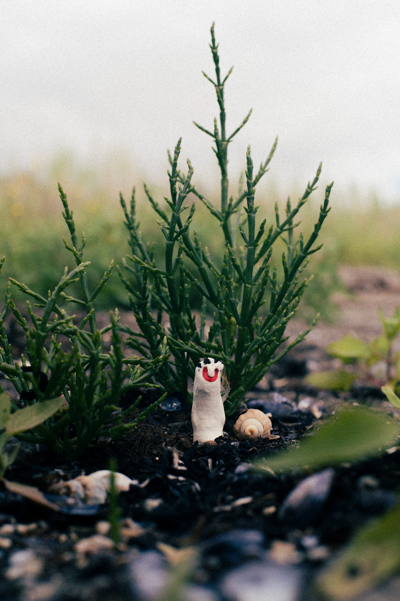 L'inconnu en constante promenade