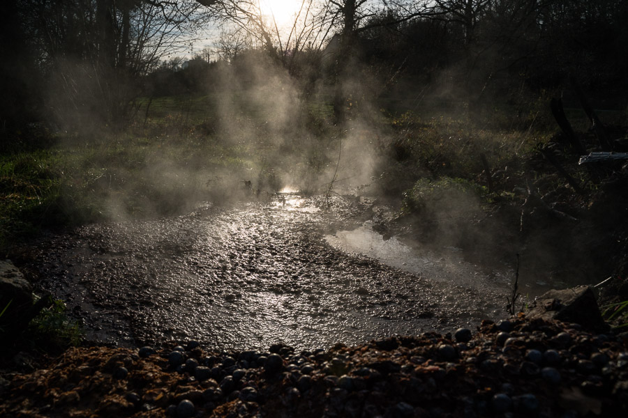 Les r&eacute;sidus de distillation, m&eacute;lang&eacute;s &agrave; de la terre, feront un terreau un peu acide. Ils attirent &eacute;galement les sangliers qui viennent manger les noyaux.