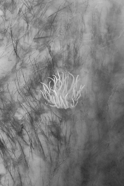 Mårten LANGE, Time water, 2020