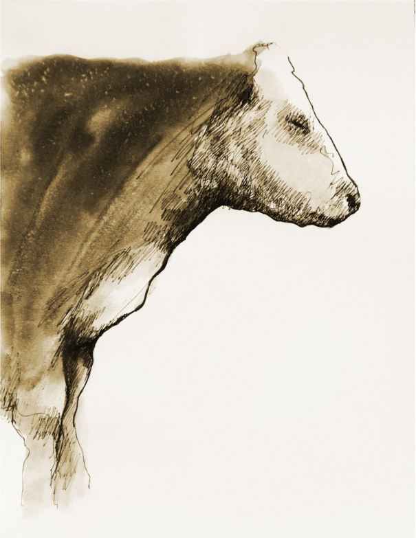  Ink on paper &ndash; 11&rdquo; x 8&rdquo; 