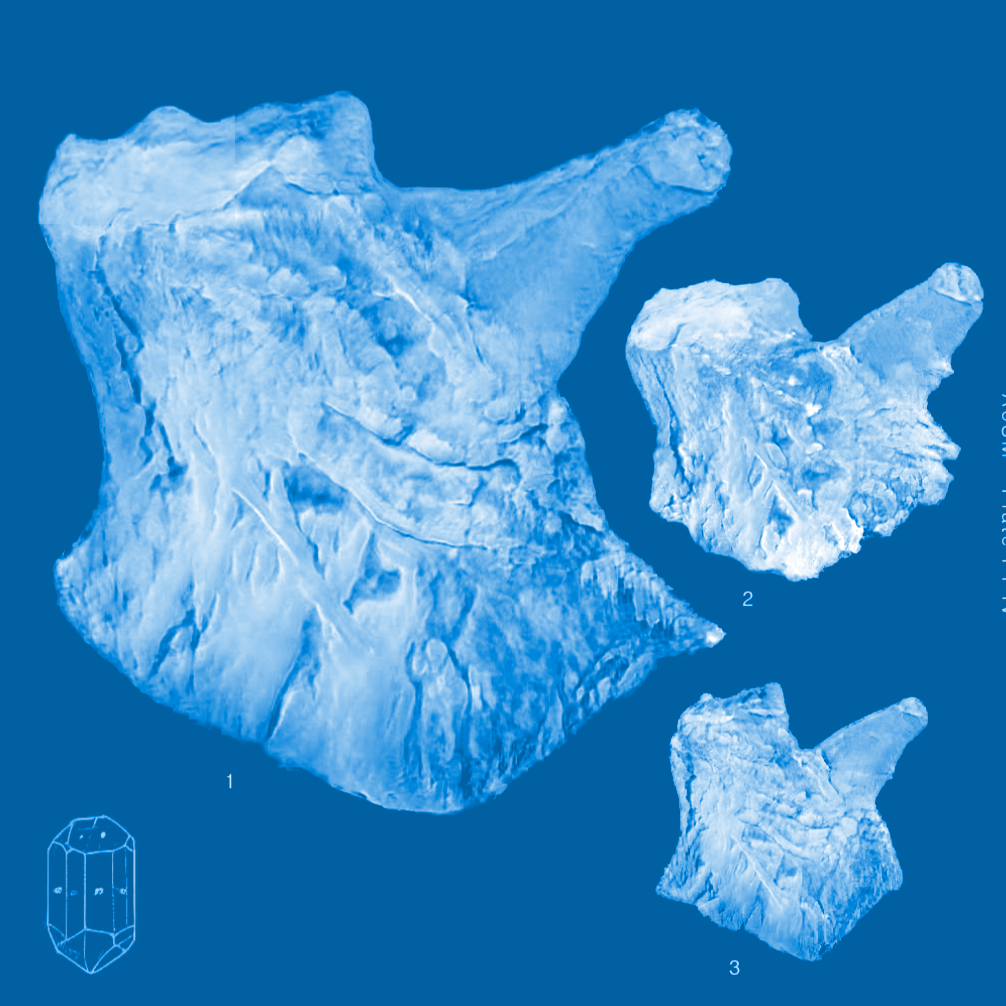 Appendix CPlate I-I-IV-C