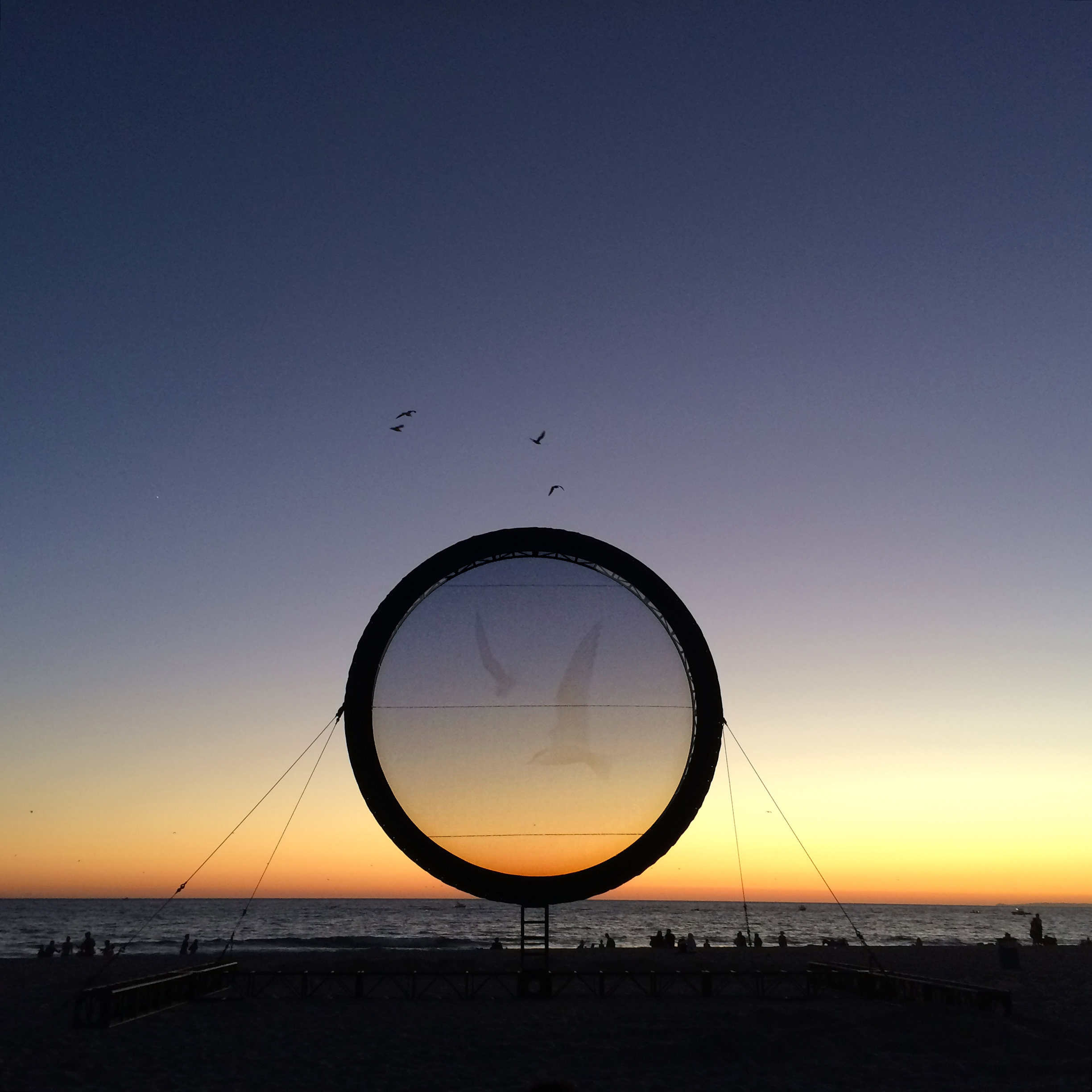 CircumSolar, Migration 1, 2013. Single-channel video installation. 26:20 minutes. Installation view: Glow, Santa Monica.