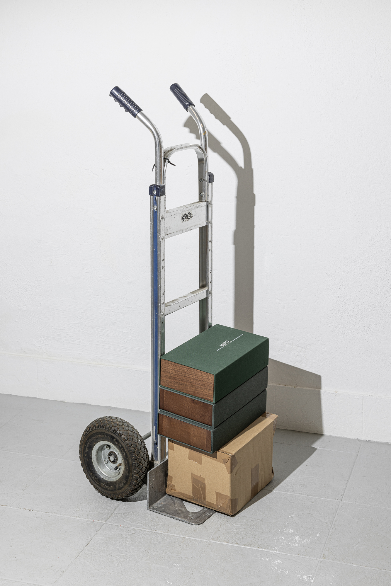 photo for Sofia De=Francesco