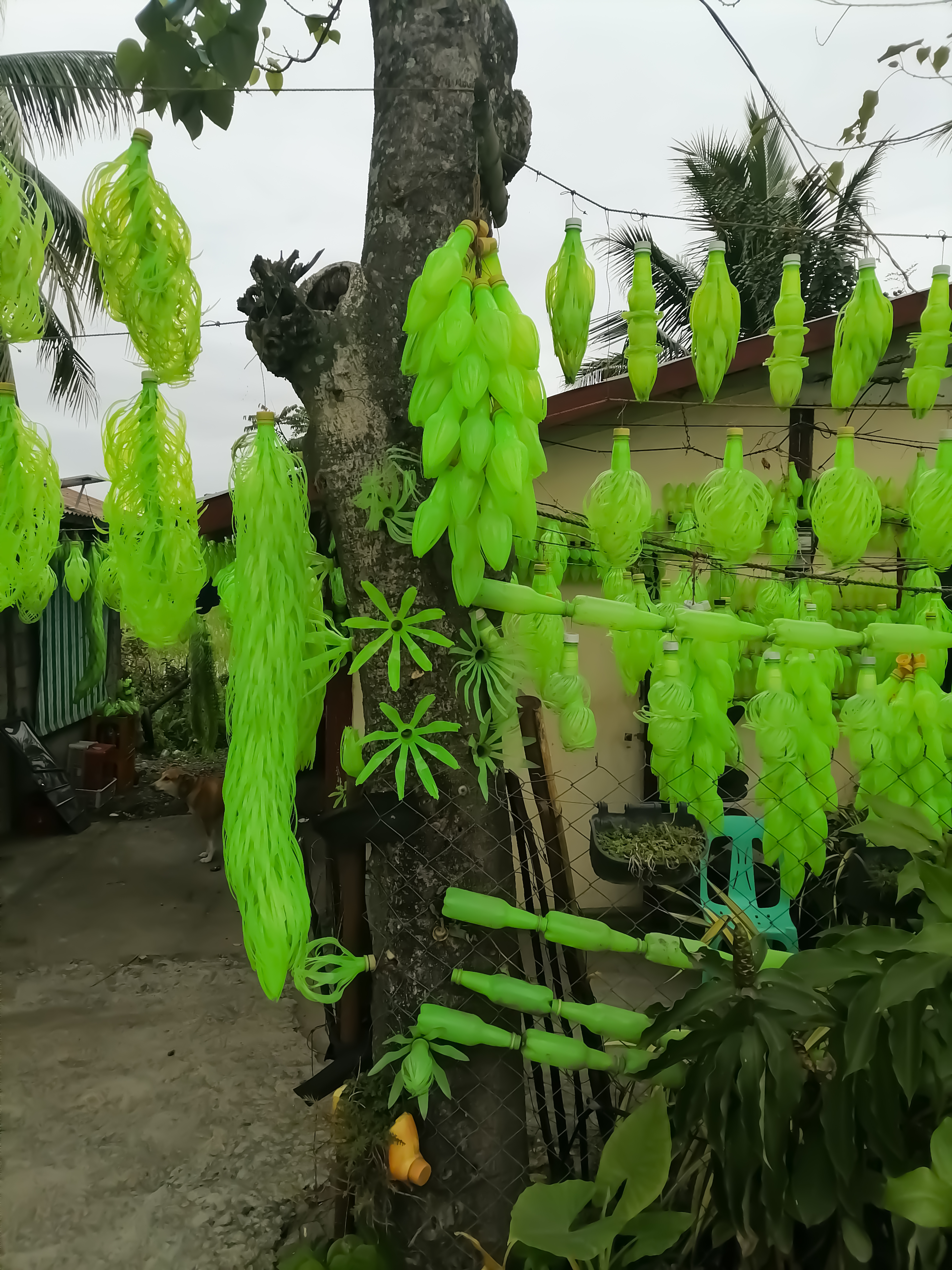 Assorted decorations made out of Mountain Dew bottles⚲ Mallig, Isabela, Region II © Waren Valdez