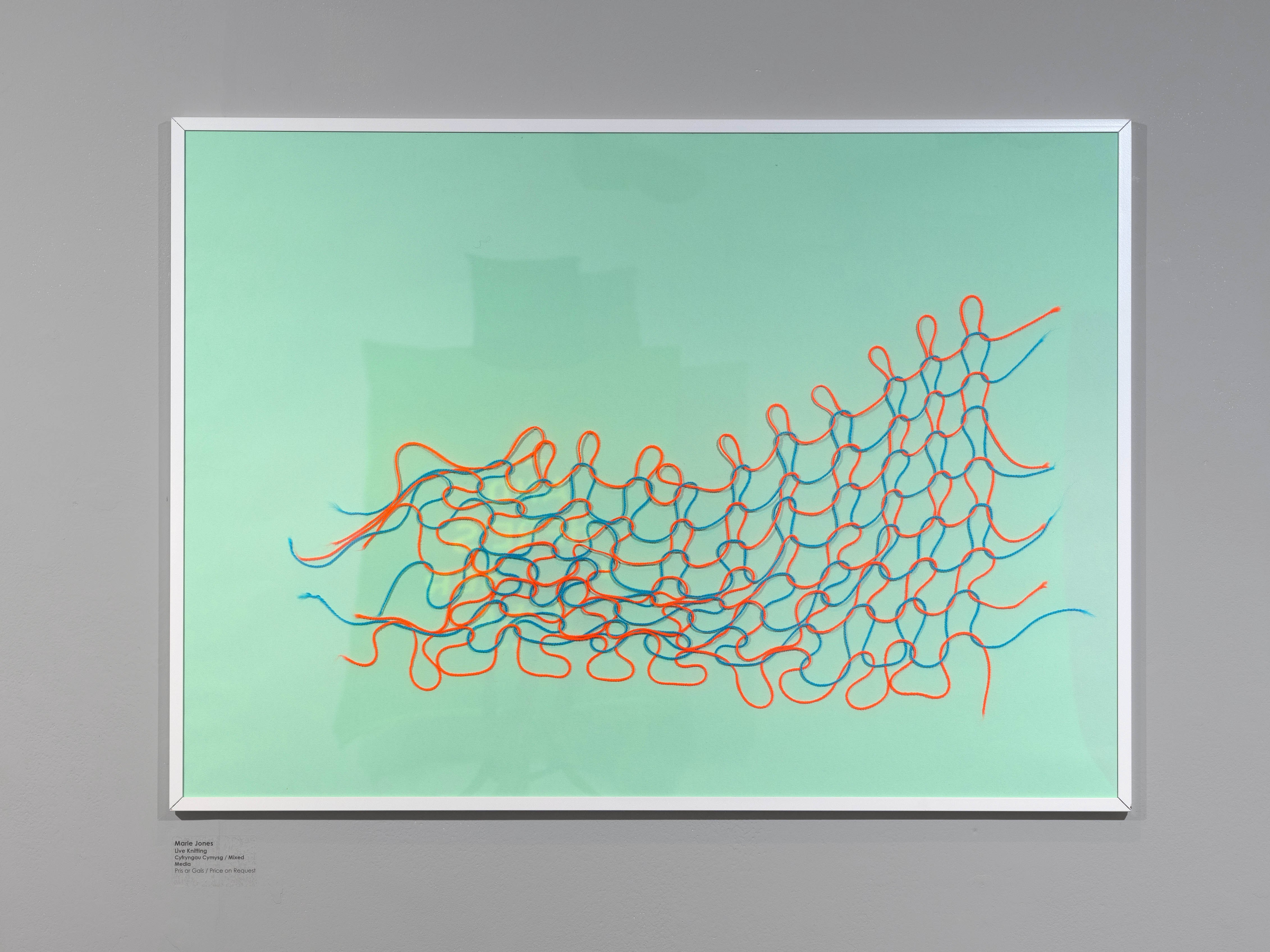 Live Knitting (2022)