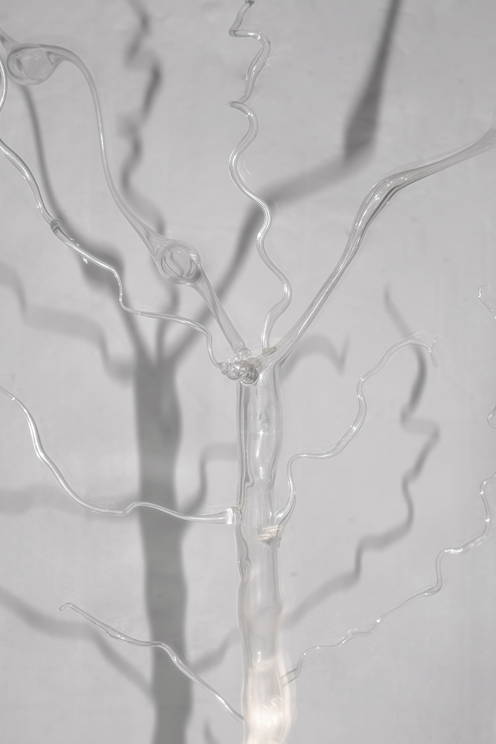 Detail from Plaja Studio lamp Cestum Veneris II (Cinturón de Venus II) on a White Background