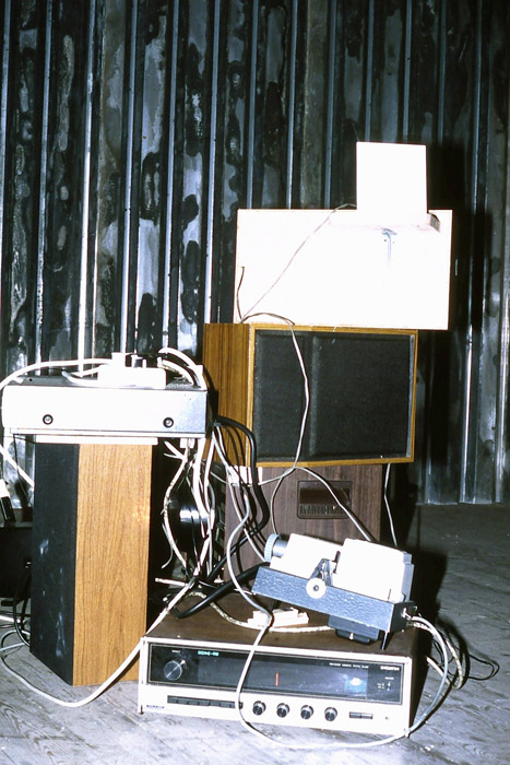 Sweeney, solo Installation at Catalyst Gallery, Belfast, wood, stuffed sparrow