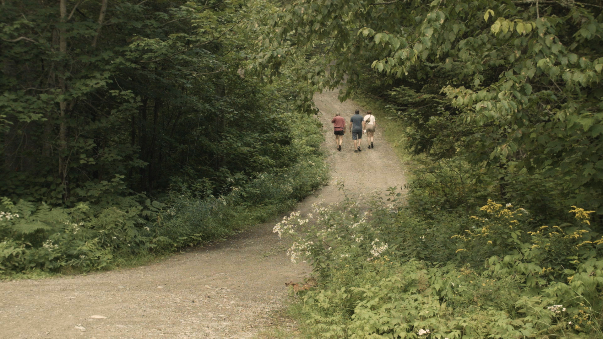 Marc, Alexandre et AM montant la route vers l'Abri. Image : Casper WolskiMarc, Alexandre and AM climbing the road to the Shelter. Image : Casper Wolski