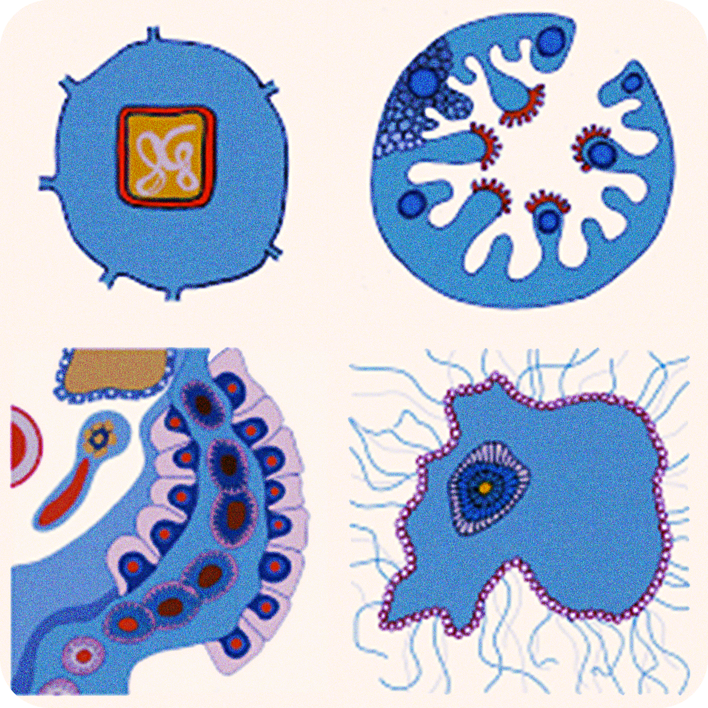 Sem 09 | Spatial Arguments