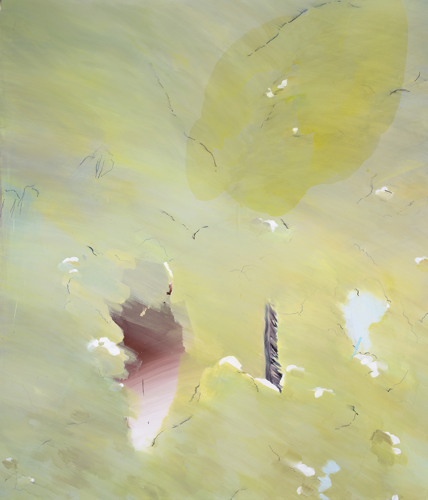 Forehead in hibernation