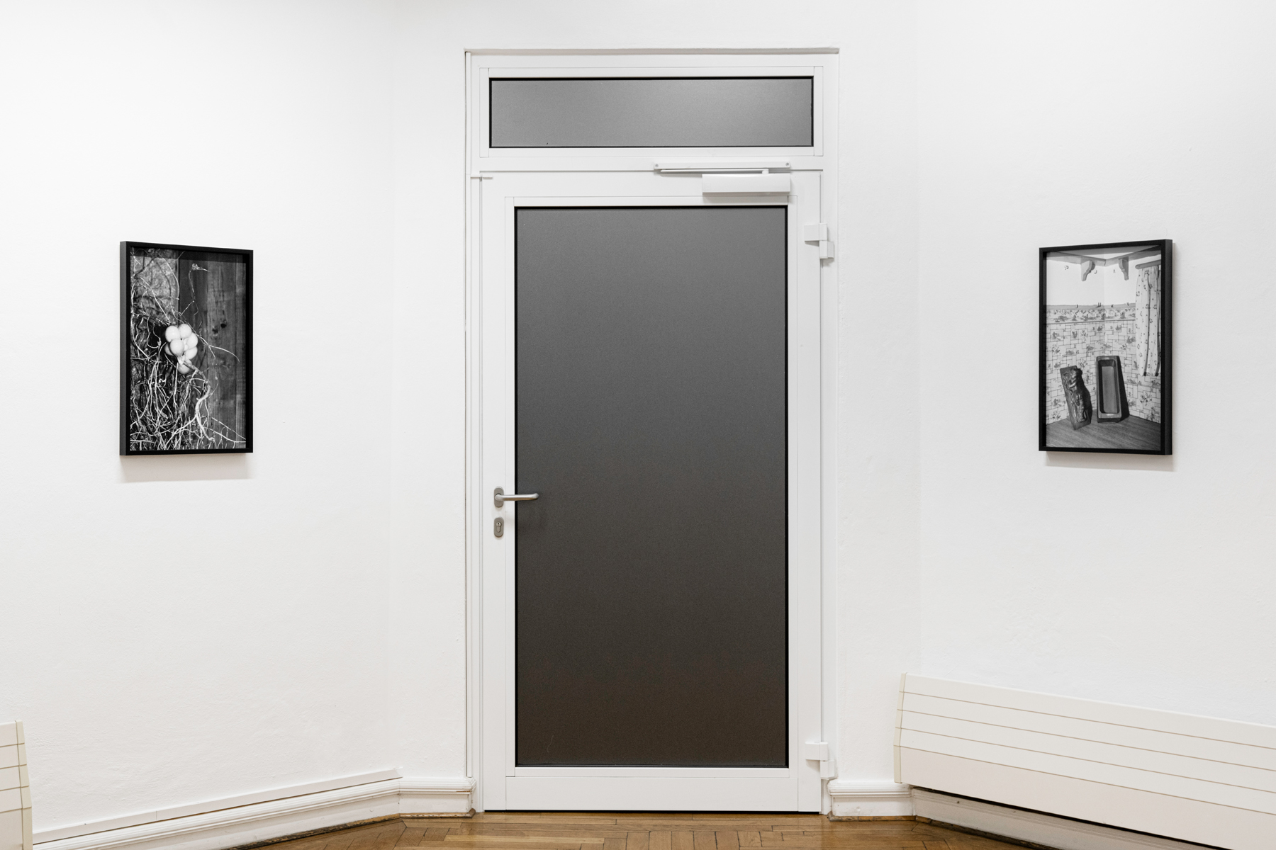 Plexus. Villa Kebbel, Schwandorf, 2024. Curated by Jürgen Dehm.
