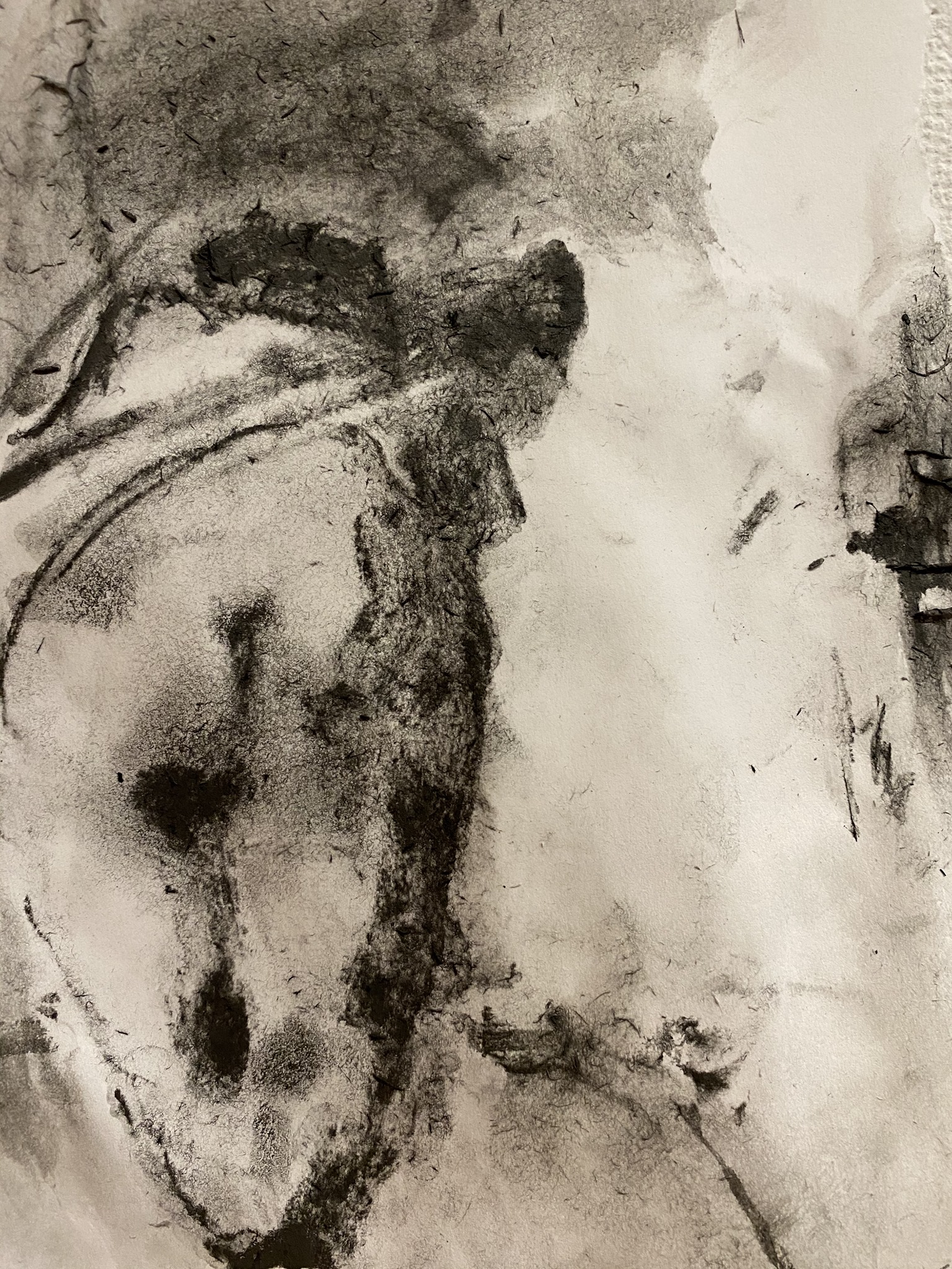 Female Nude Back, charcoal and water on newspring, 2020, 18 x 24 inches
