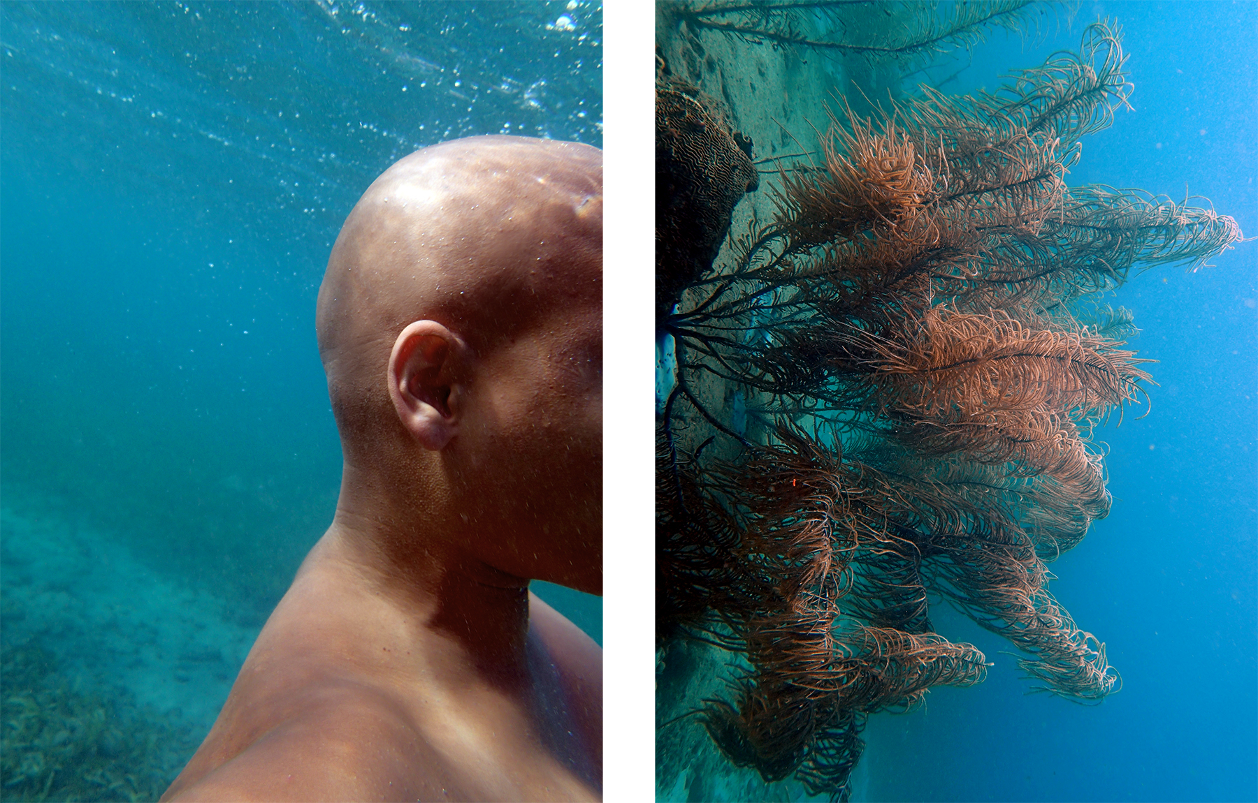 Transformations No. 2. Digital Photograph. 30"x 46.5". 2016.