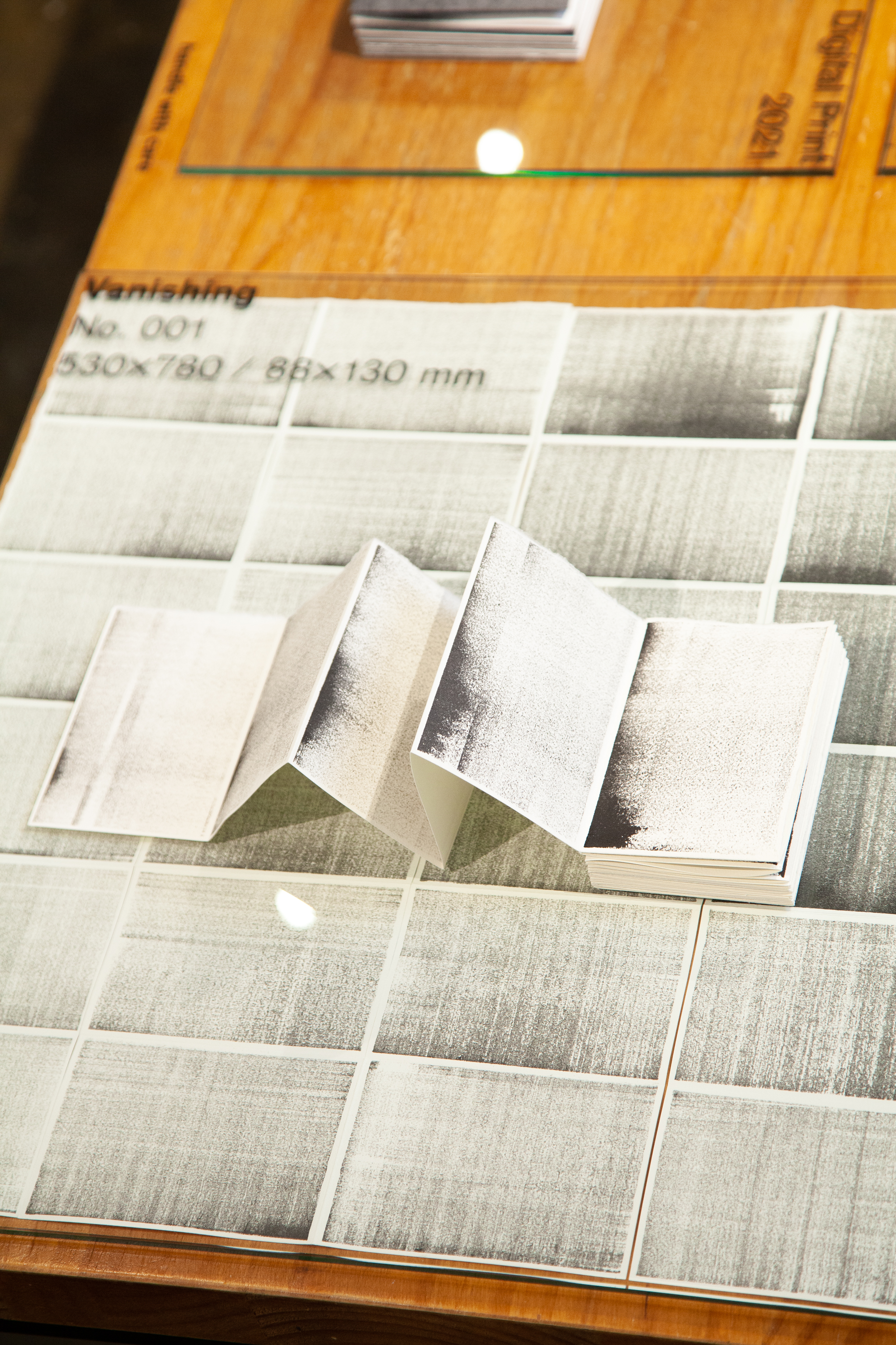 Vanishing No. 001 (2021)