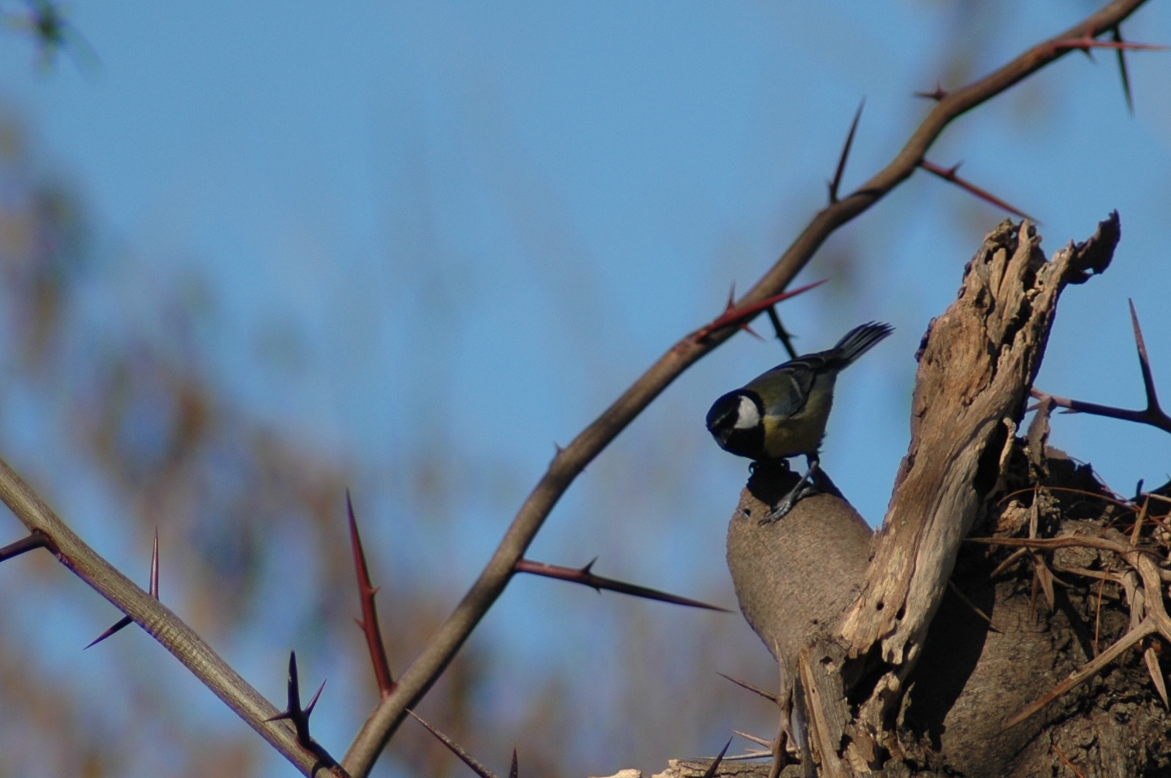 14.12.2024, Tarihi Sarnıç