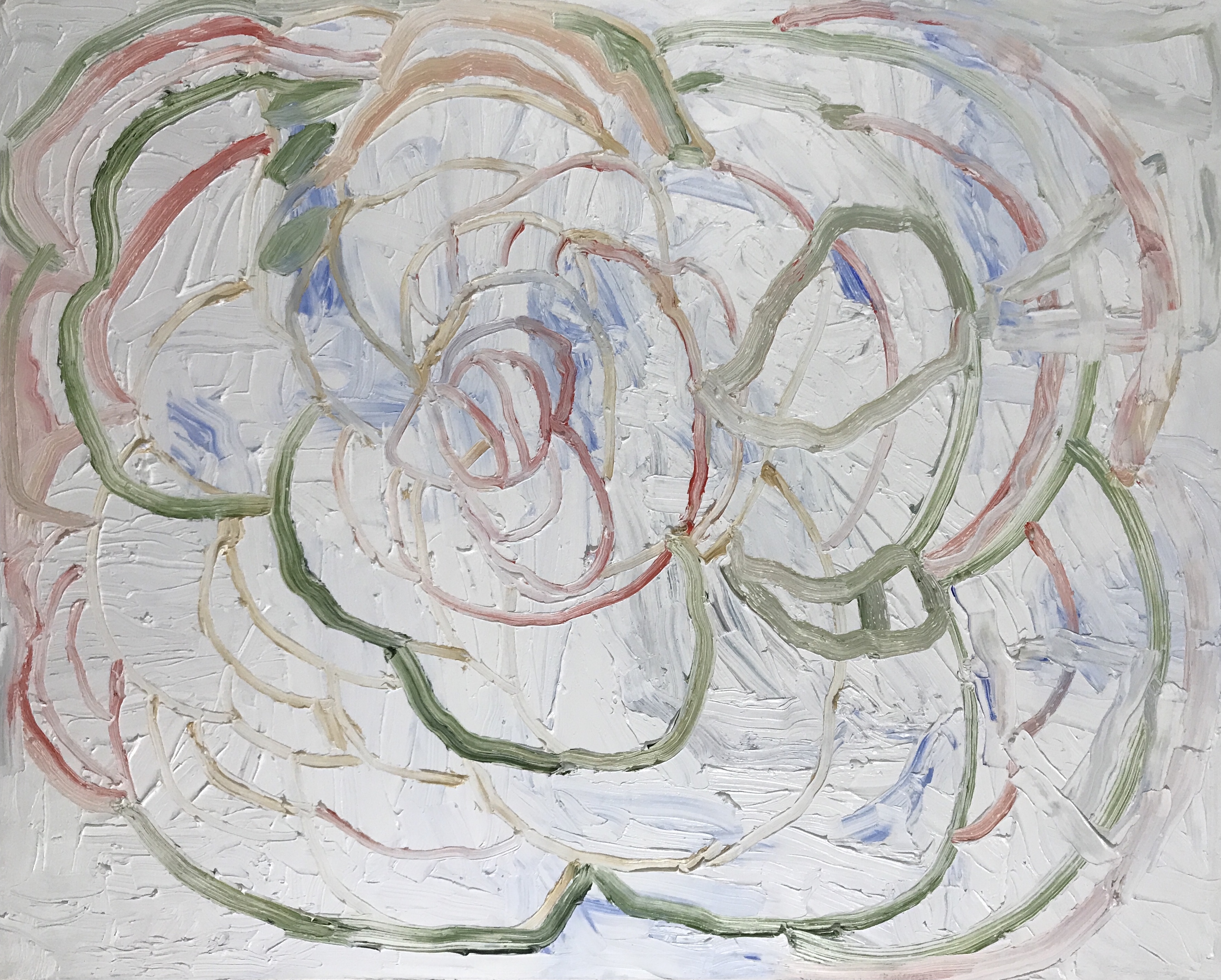 Exploding camellia, 2022, oil on canvas, 48"x60" in