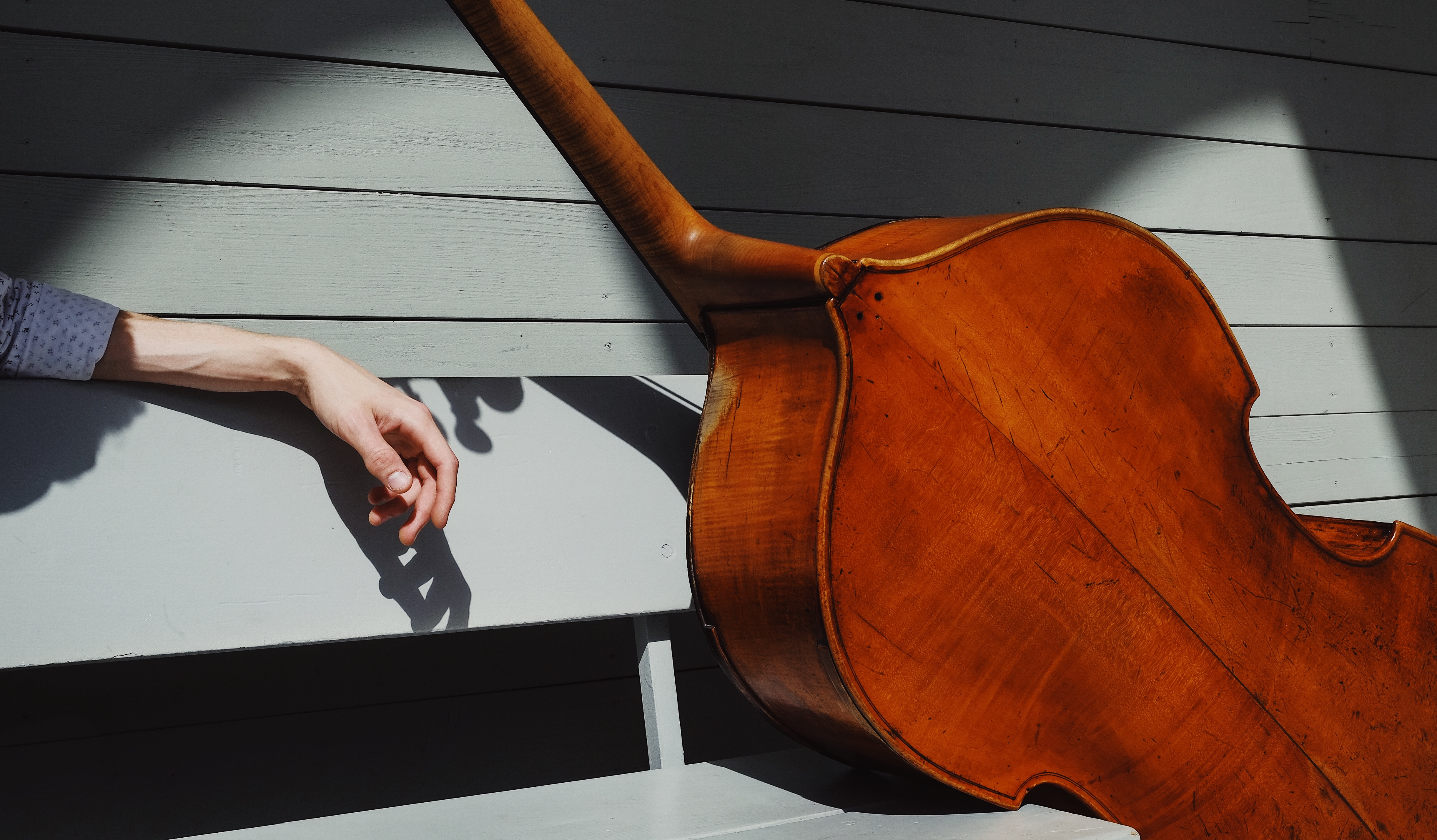 Austin Lewellen, double bassist