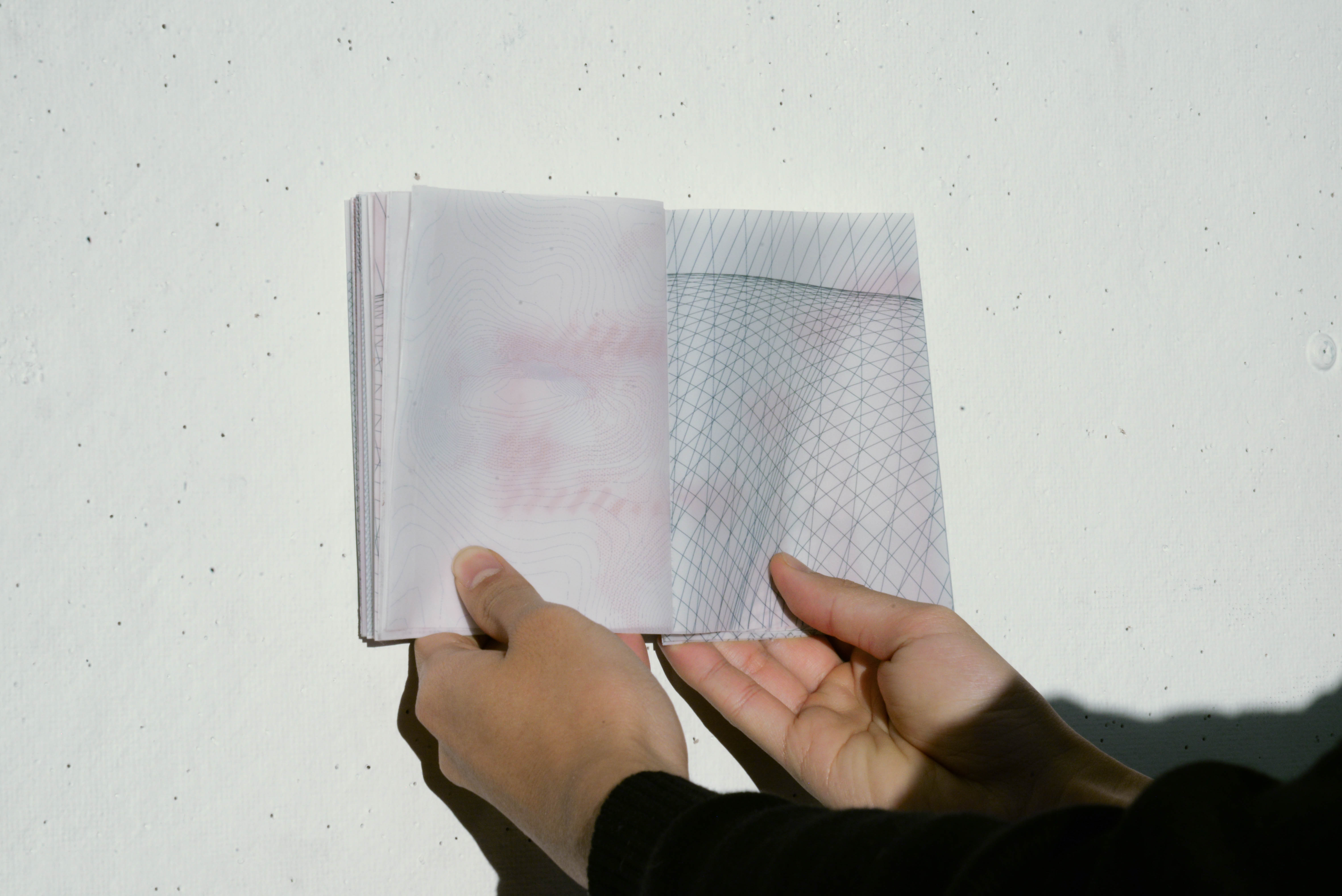 Juxtaposition Pamphlet - B