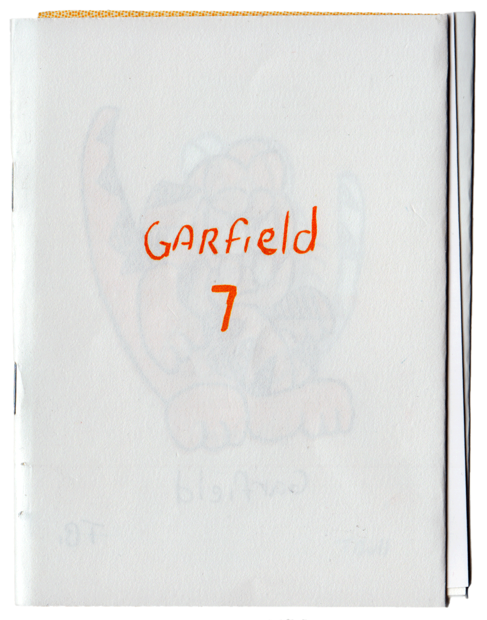 Garfield 7 / 10 Donalds