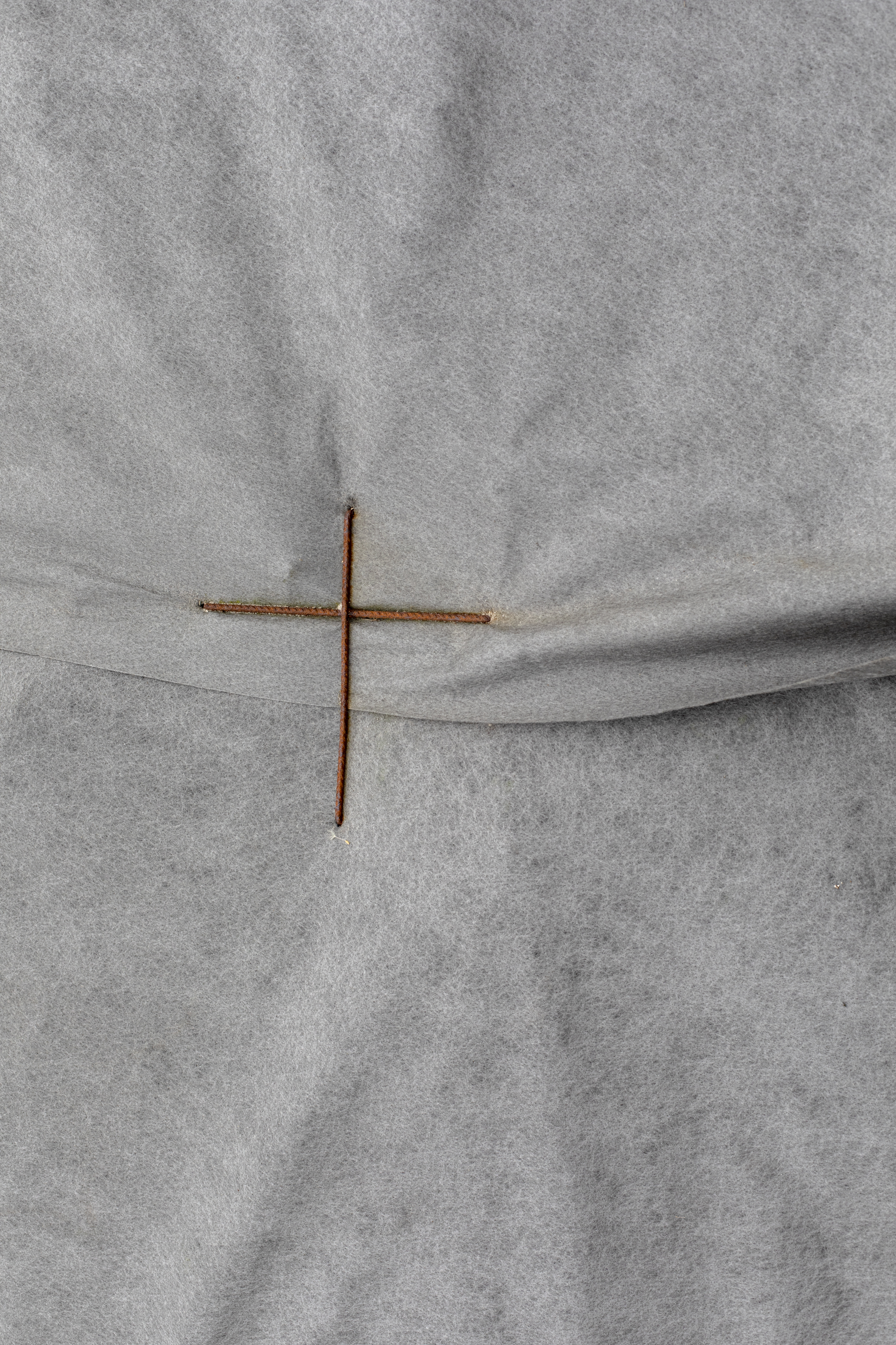 julien cregut-Lost Dogs-©juliencregut