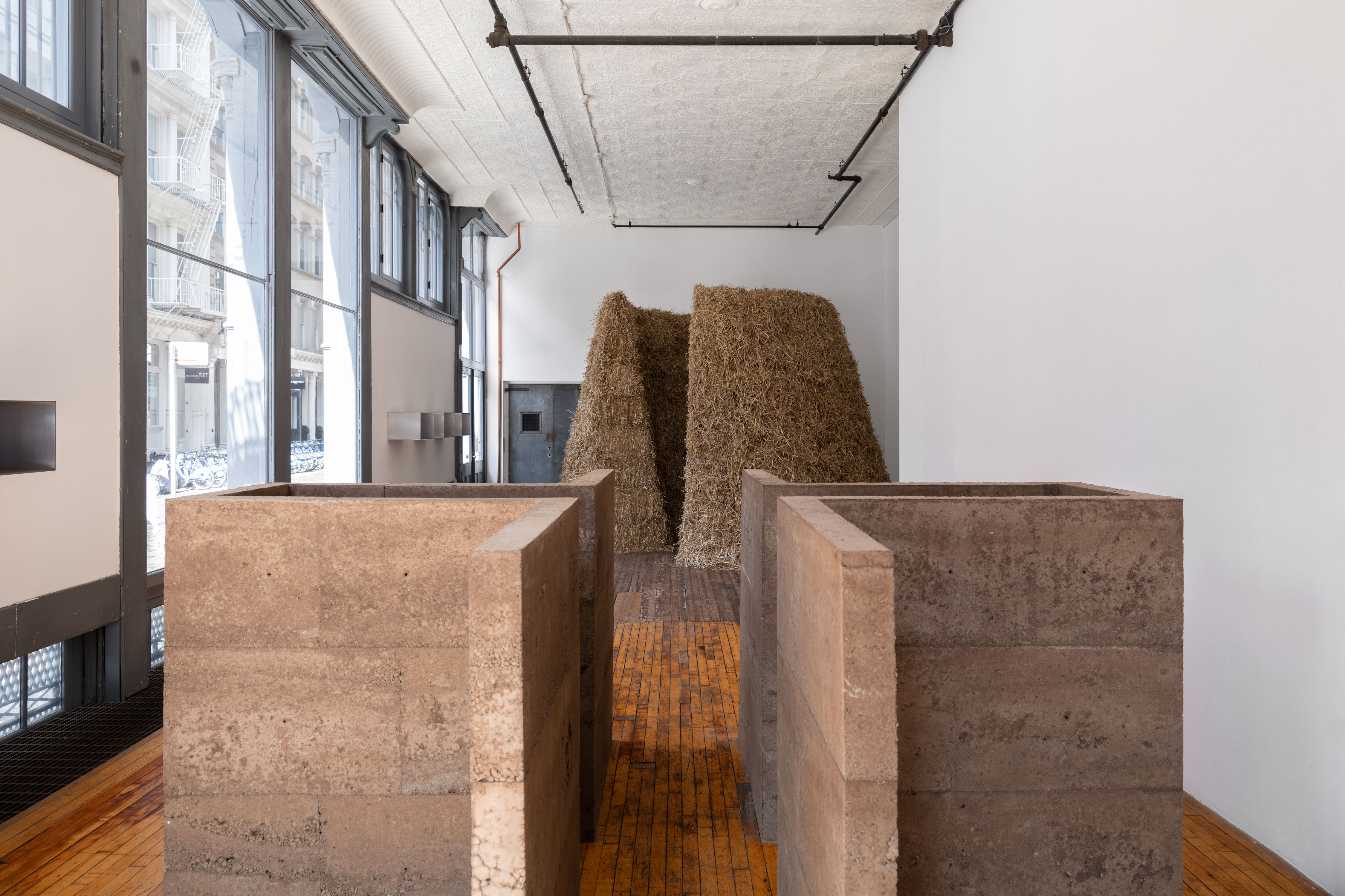 Meg Webster / JUDD Foundation