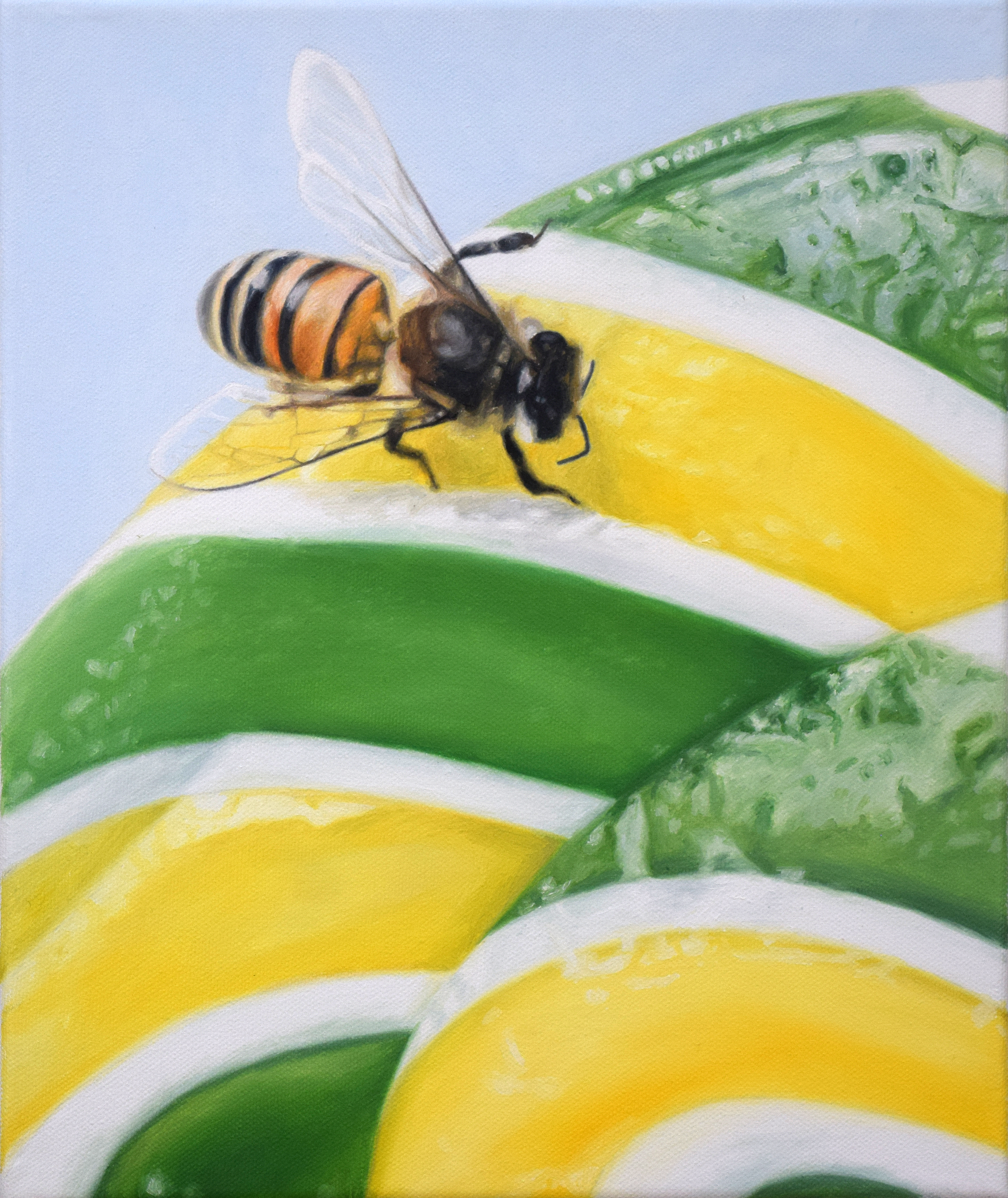 Bee I 2020 Oil on Canvas 12"x10"/30x25cm