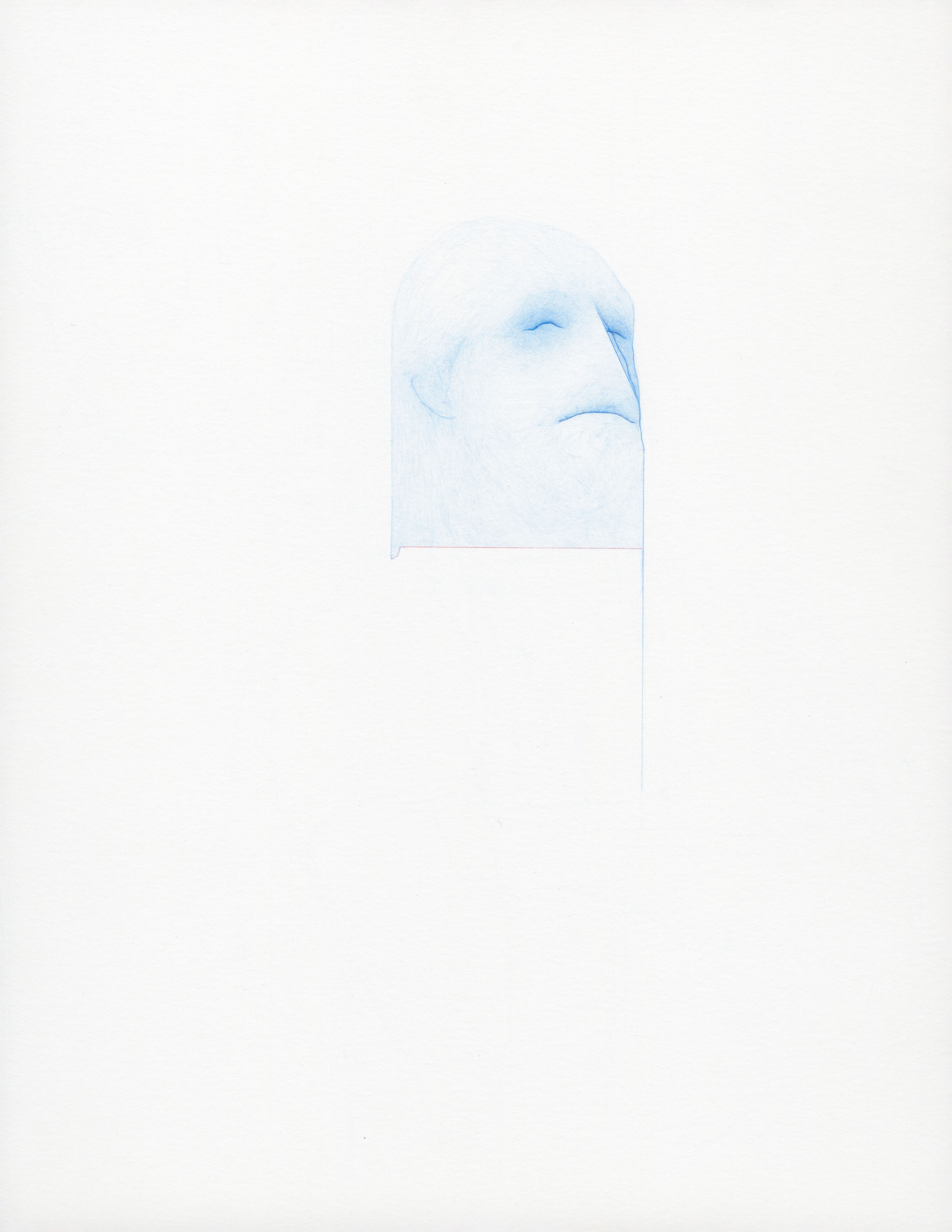 mucksnipe 11x8.5 colored pencil on paper 2012