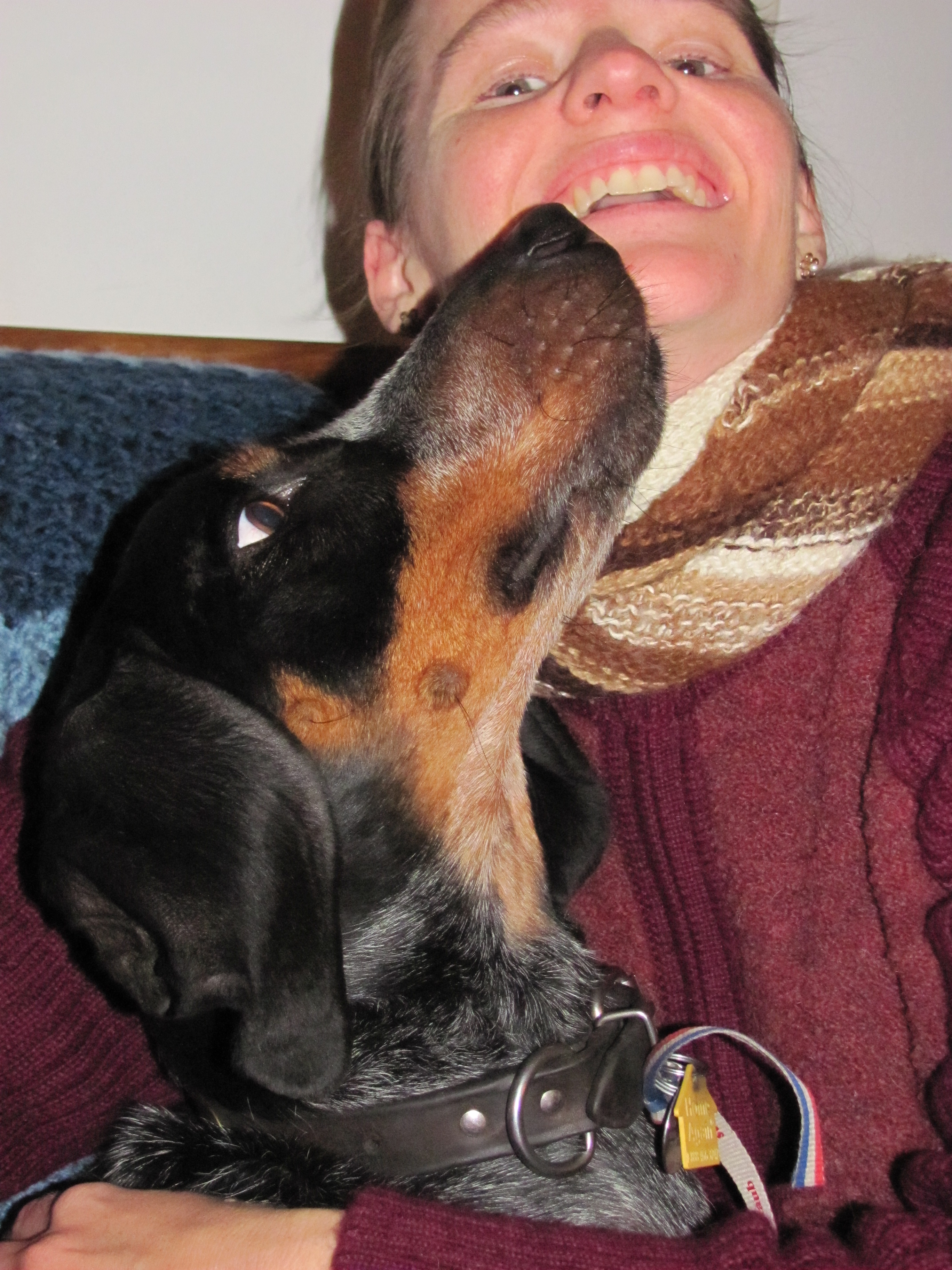 R.I.P. August 22, 2023. Miss you Deets.