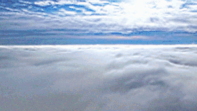 OnRunning_RiseRadio_Animation