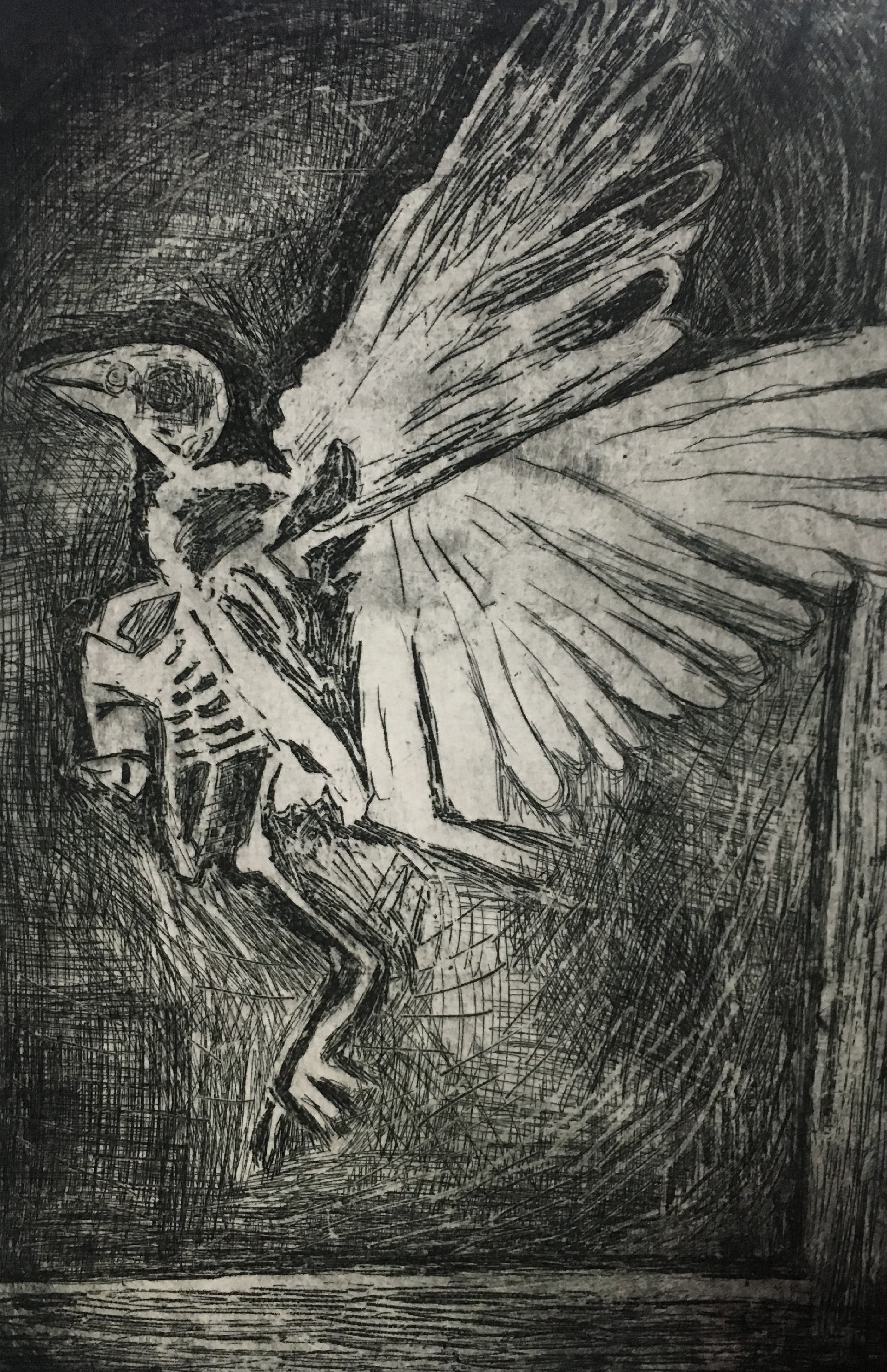bird | 2020 | lithograph on zinc, 6" x 8¾"