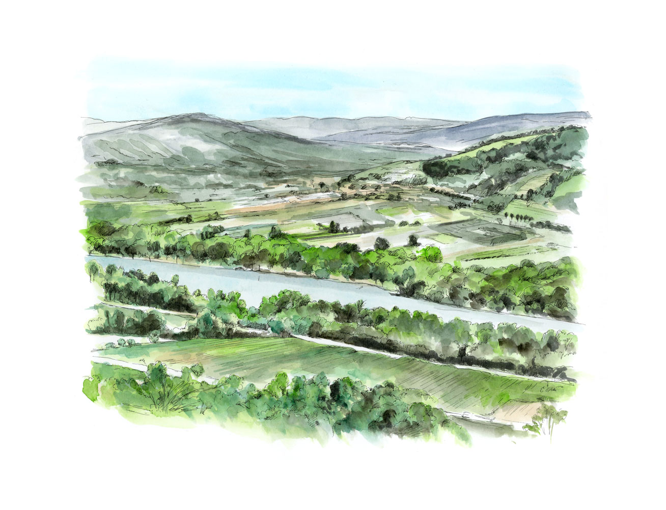 Toast Magazine, Air France