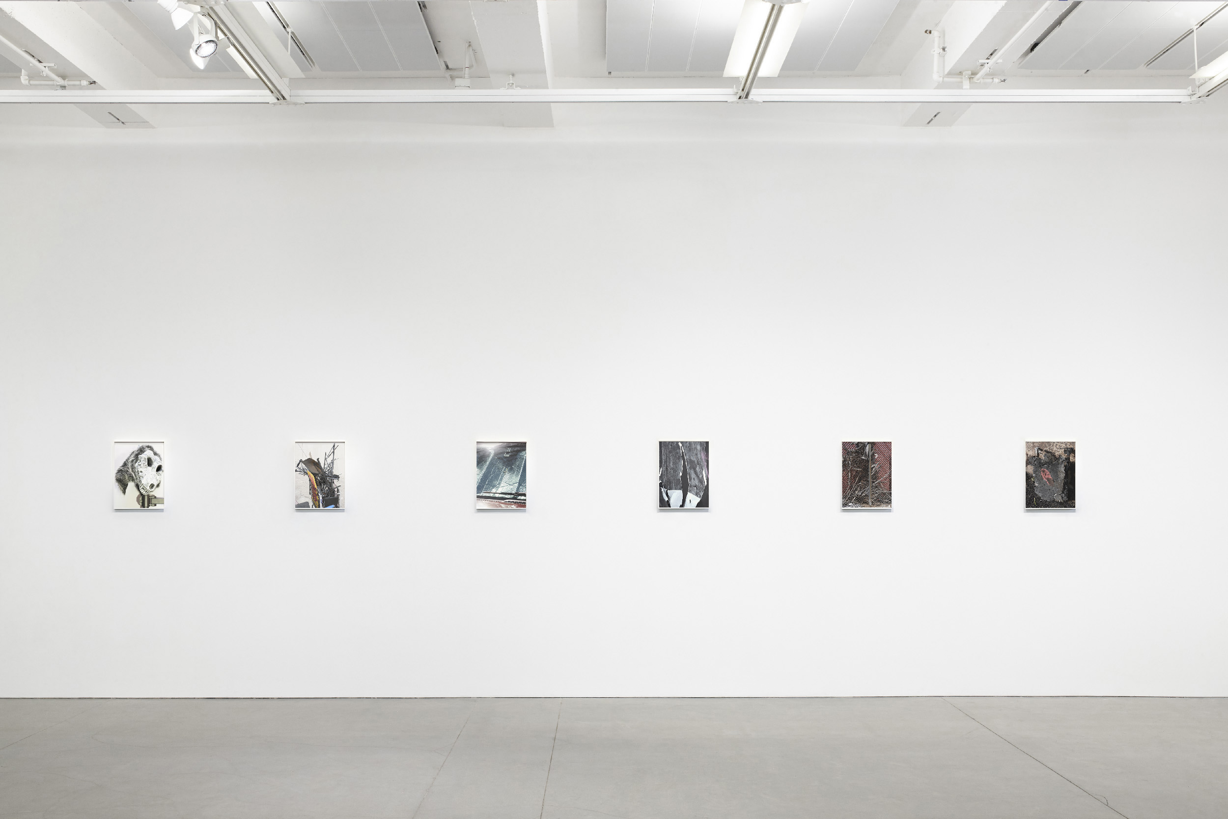 From left to right: (1) Mask (Telotype #4), Baldwin Hills, October 2019; (2) Cart (Telotype #8), 35th and Main streets, Los Angeles, December 2019; (3) Windshield (Telotype #158), Fairfax Avenue, Los Angeles, April 2021; Billboard (Telotype #31), Venice Boulevard, Culver City, May 2020; (5) Severed Palm Tree (Telotype #3), Electric Drive near Fairfax Av. and the I-10, August 2020; Flipflop (Telotype #114), 16th Street near Alameda Street, Los Angeles, October 2020. Six 10x13" chromogenic dye coupler prints mounted on dibond, edition of 6 + 2 AP. Series: Telotypes (2019-2023).