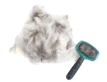 Pets Hair