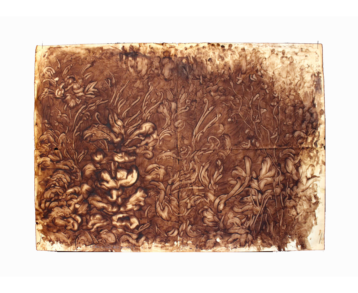 # 25 - Emmanuel Flipo - Pimprenelle d&rsquo;Eden &ndash; 2014 - 60 x 40 cm - Brou de noix sur papier 