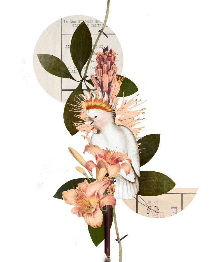 Skizzomat Illustration